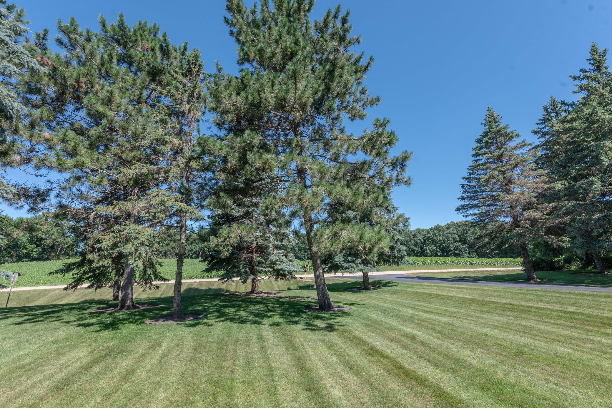 44118 Blackjack Drive, Henning MN 56551 - Photo 48 of 49
