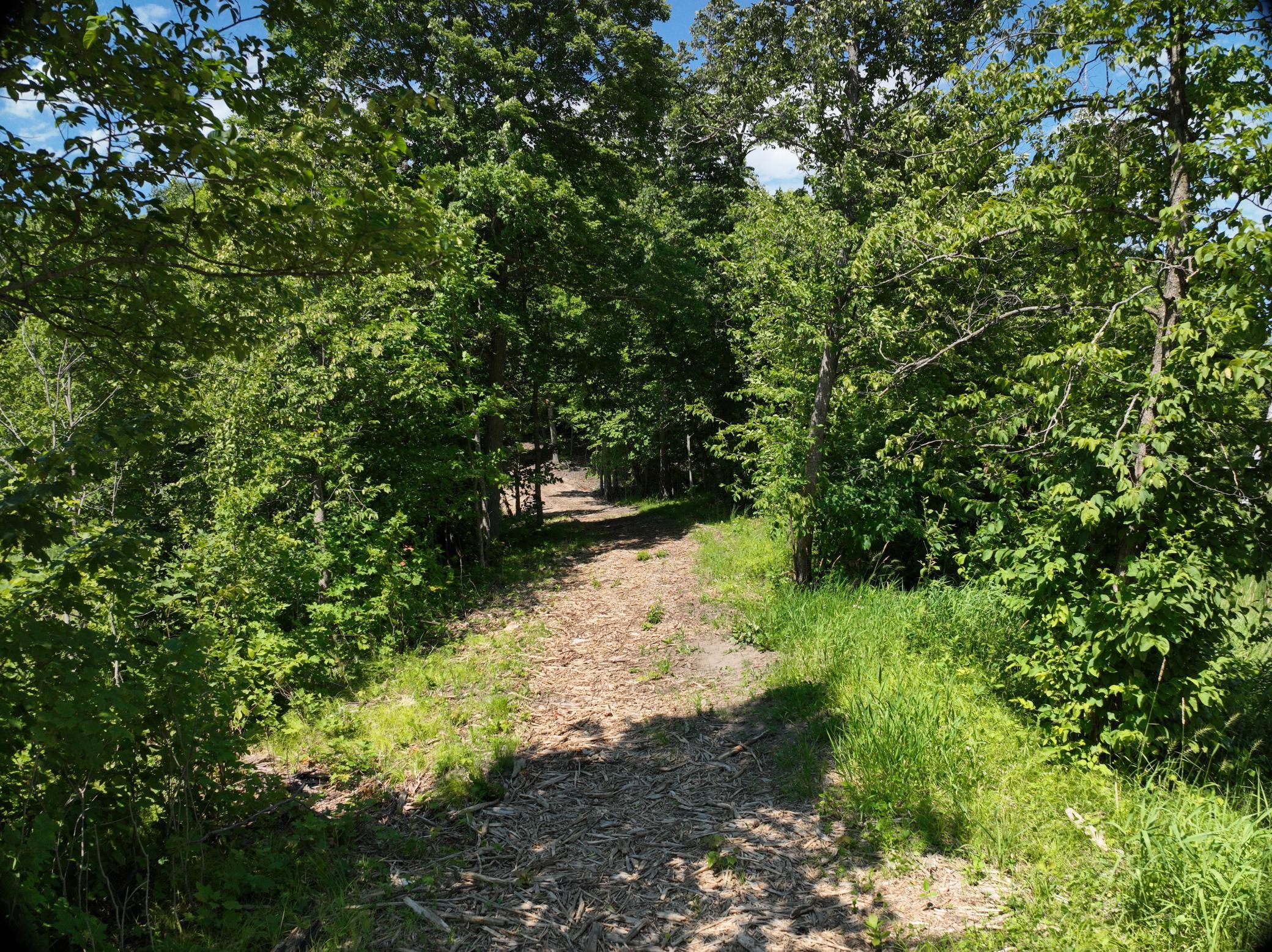 LOT 6 West Lake Olaf Road, Pelican Rapids MN 56572 - Photo 18 of 26