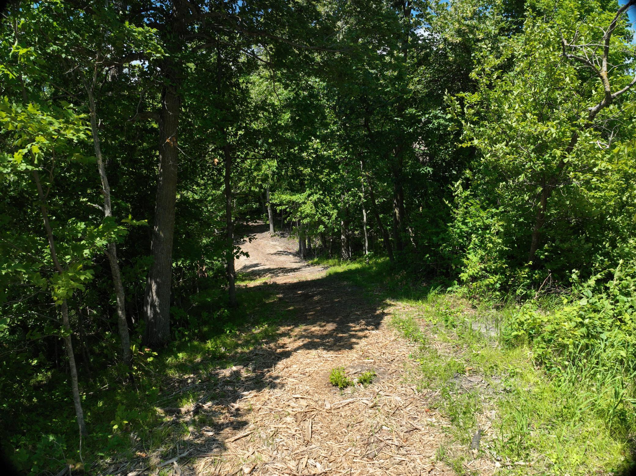LOT 6 West Lake Olaf Road, Pelican Rapids MN 56572 - Photo 19 of 26