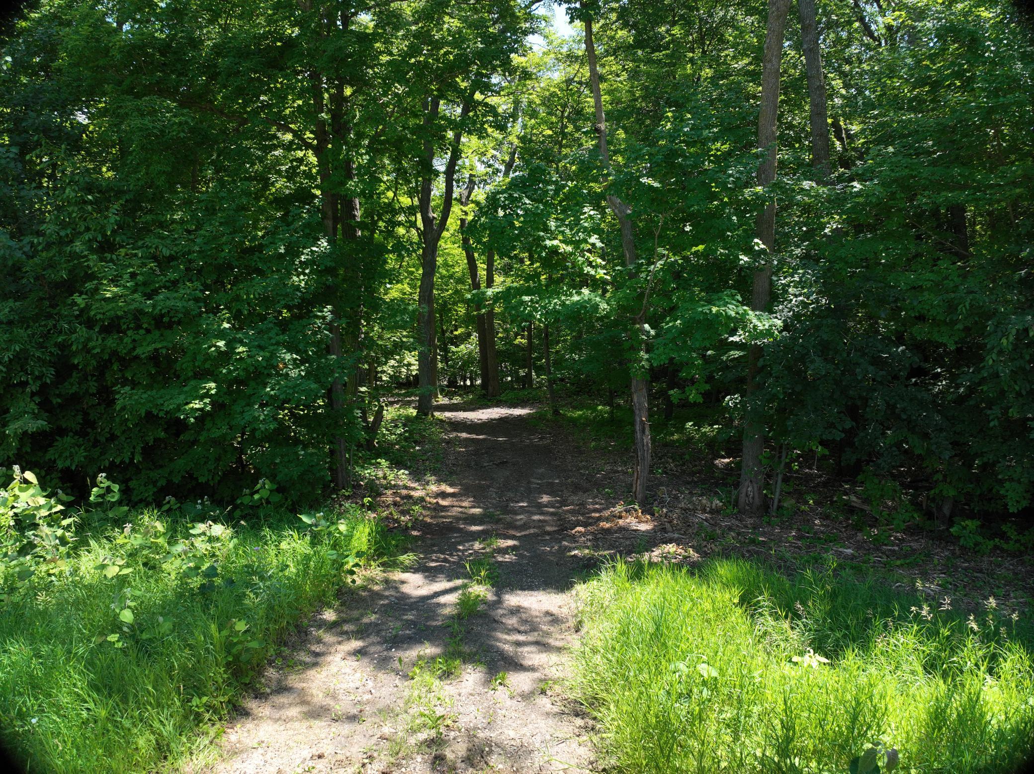 LOT 6 West Lake Olaf Road, Pelican Rapids MN 56572 - Photo 21 of 26