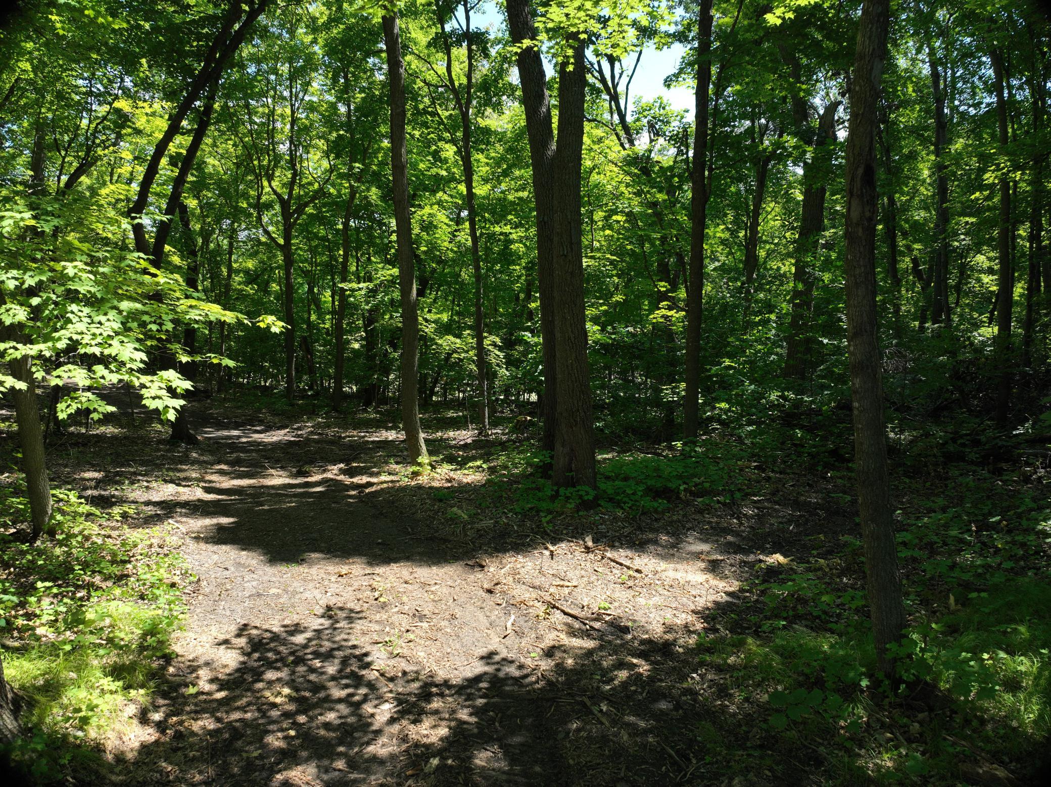 LOT 6 West Lake Olaf Road, Pelican Rapids MN 56572 - Photo 22 of 26