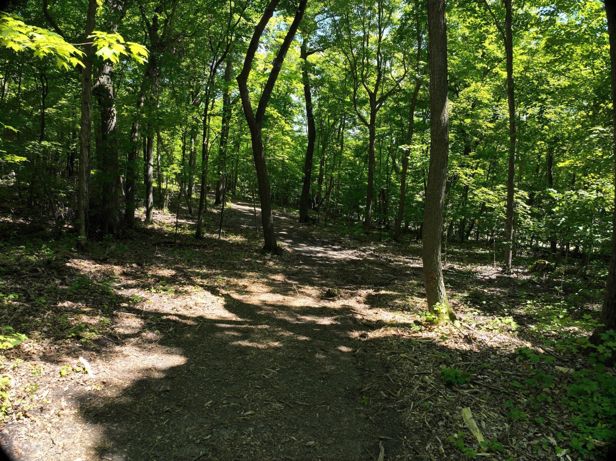 LOT 6 West Lake Olaf Road, Pelican Rapids MN 56572 - Photo 23 of 26