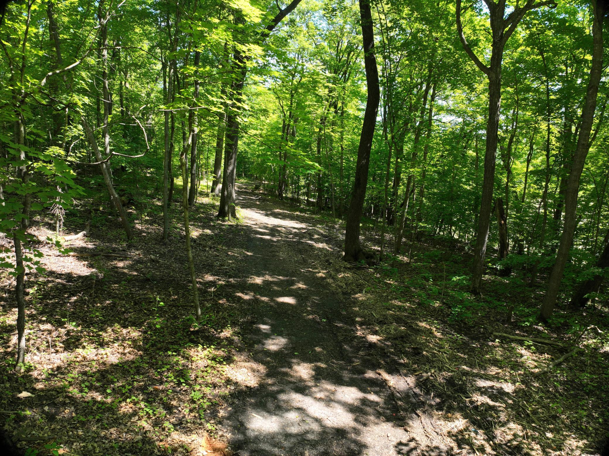 LOT 6 West Lake Olaf Road, Pelican Rapids MN 56572 - Photo 24 of 26