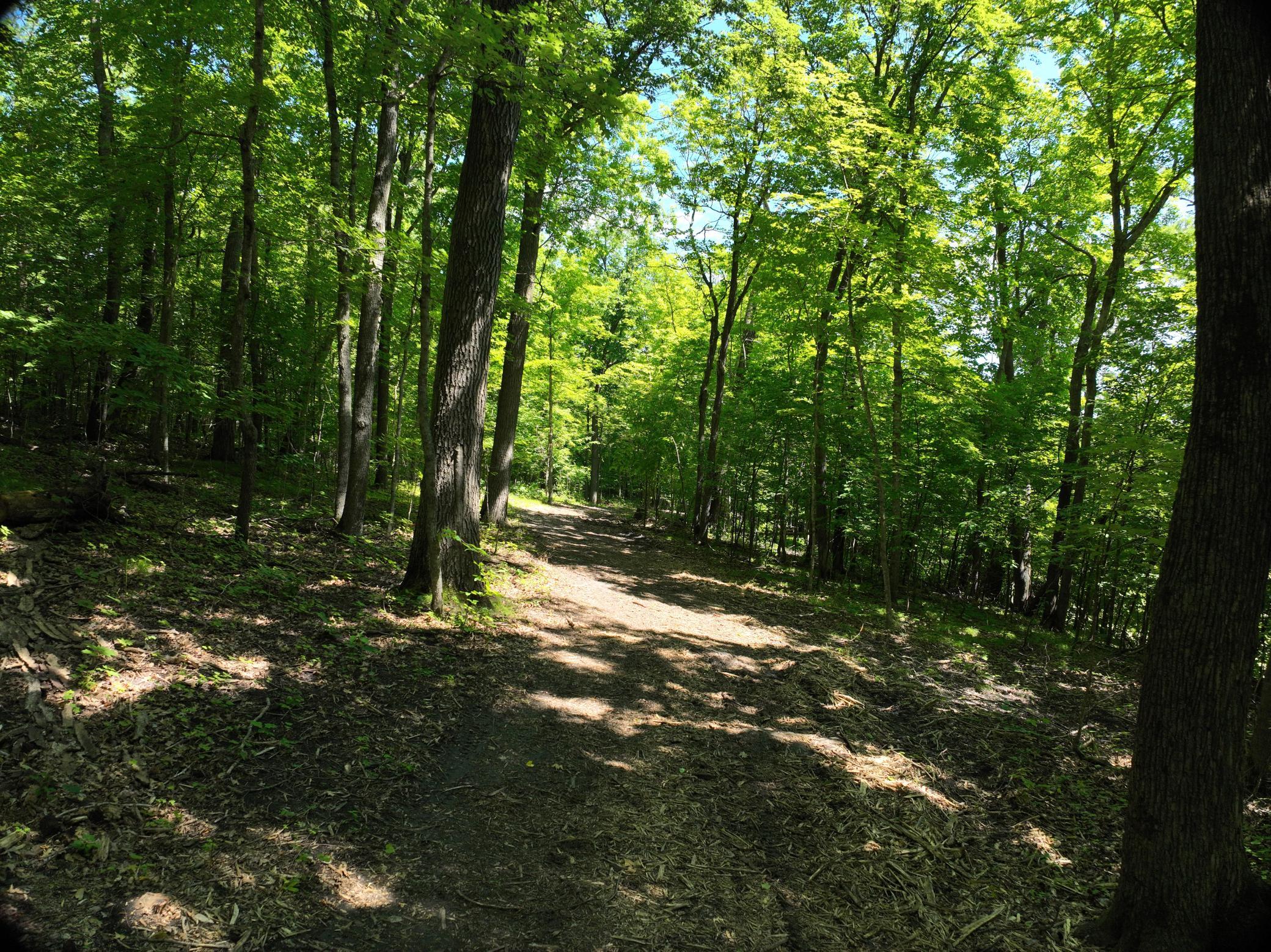 LOT 6 West Lake Olaf Road, Pelican Rapids MN 56572 - Photo 25 of 26