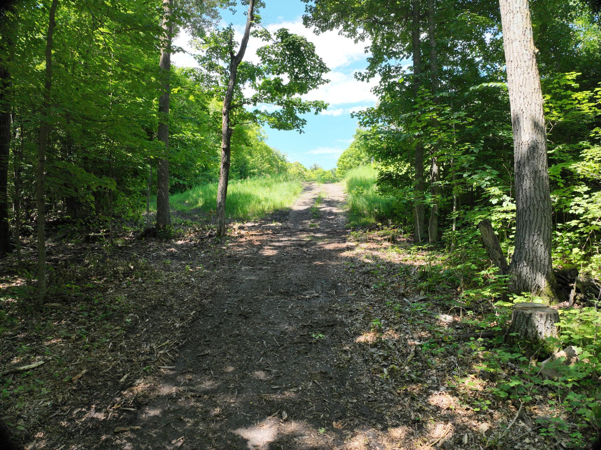 LOT 6 West Lake Olaf Road, Pelican Rapids MN 56572 - Photo 26 of 26