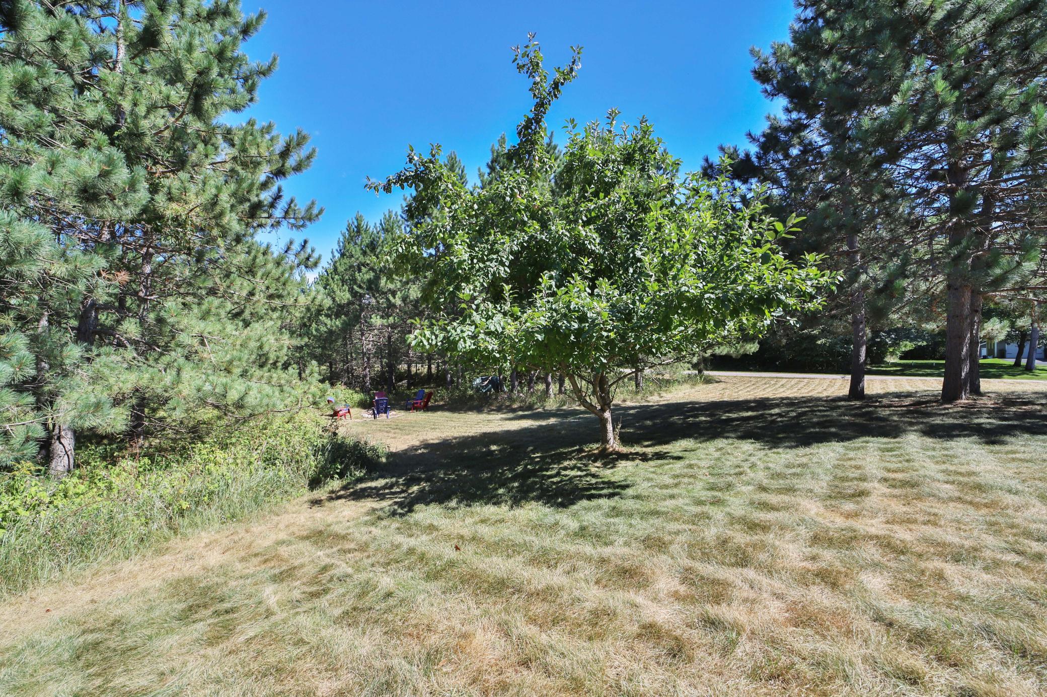2007 single family home for sale at 16310 Pristine Pine Court in Brainerd, MN — 4 bed, 3 bath (photo 54 of 58)