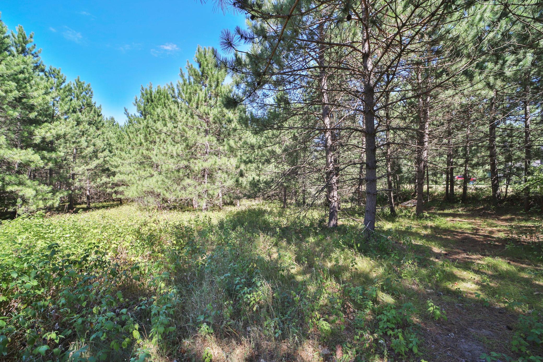 2007 single family home for sale at 16310 Pristine Pine Court in Brainerd, MN — 4 bed, 3 bath (photo 54 of 55)