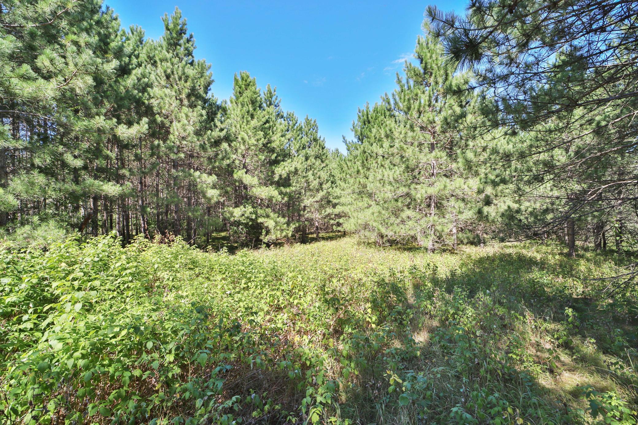 2007 single family home for sale at 16310 Pristine Pine Court in Brainerd, MN — 4 bed, 3 bath (photo 55 of 55)