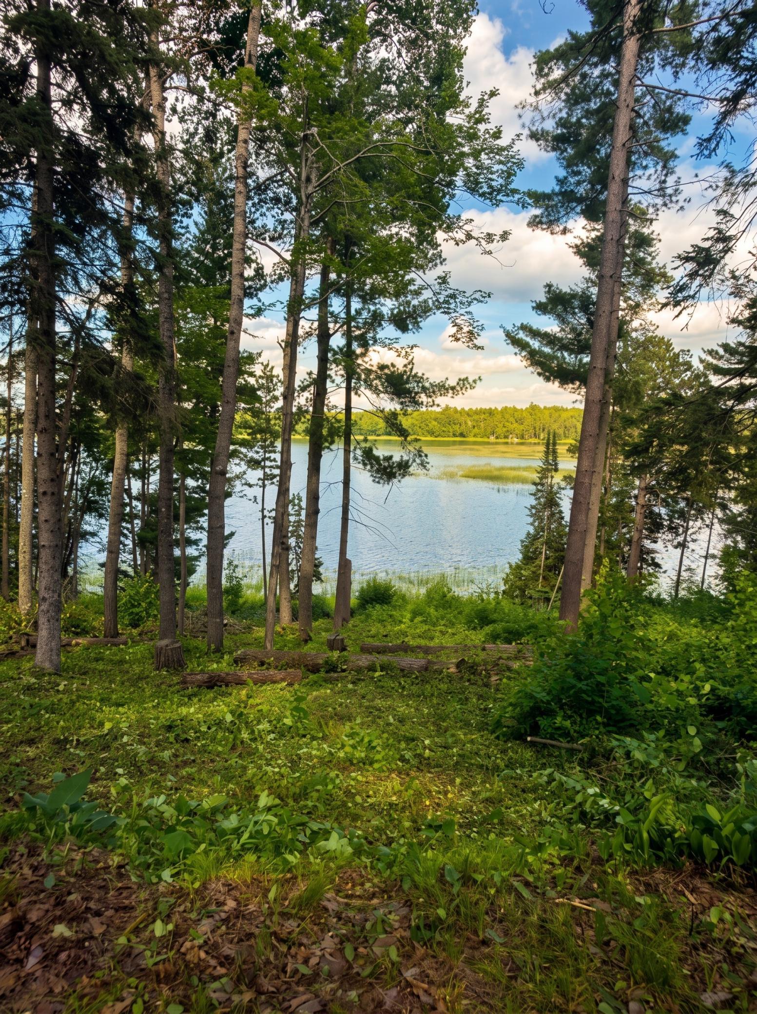 1941 single family home for sale at 18585 Natures Edge Drive in Lake George, MN — 2 bed, 1 bath (photo 2 of 12)