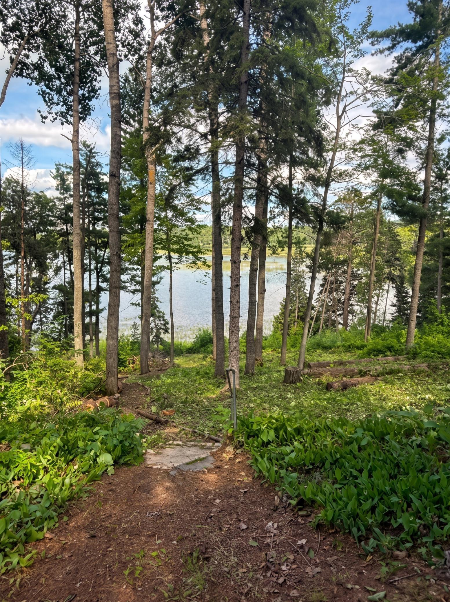 1941 single family home for sale at 18585 Natures Edge Drive in Lake George, MN — 2 bed, 1 bath (photo 12 of 12)