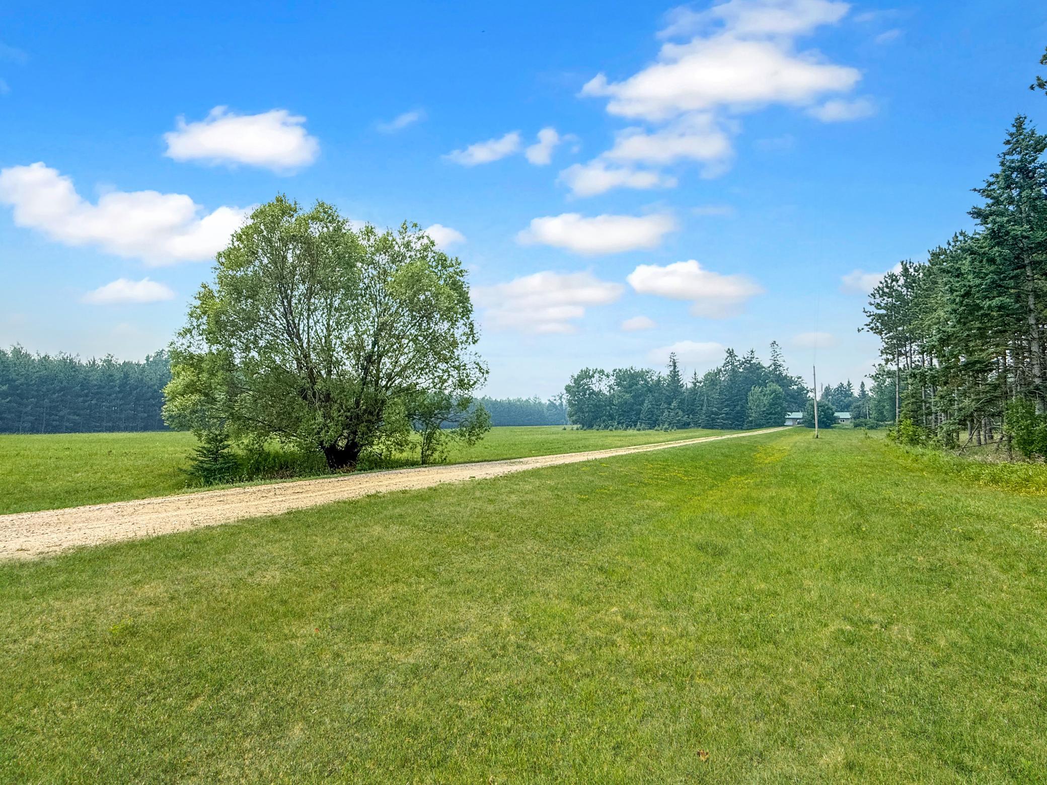 45605 317th Avenue, Cass Lake MN 56633 - Photo 7 of 43