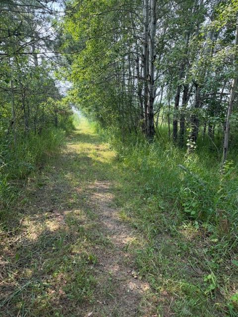 xxx County Rd 26, Verndale MN 56481 - Photo 12 of 19