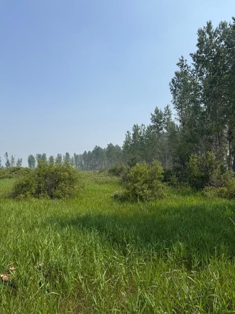 xxx County Rd 26, Verndale MN 56481 - Photo 18 of 19