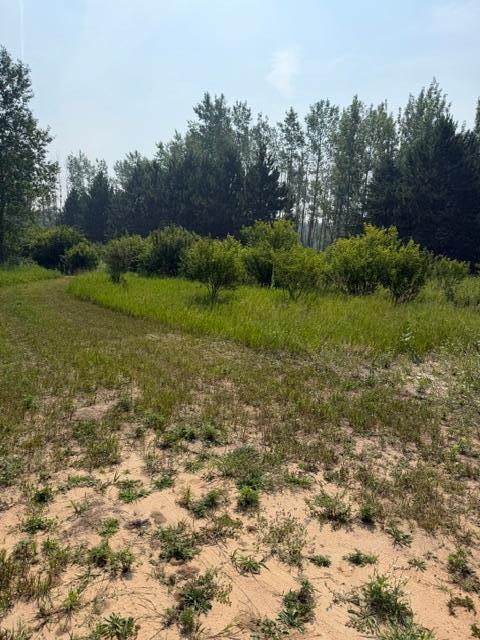 xxx County Rd 26, Verndale MN 56481 - Photo 4 of 19