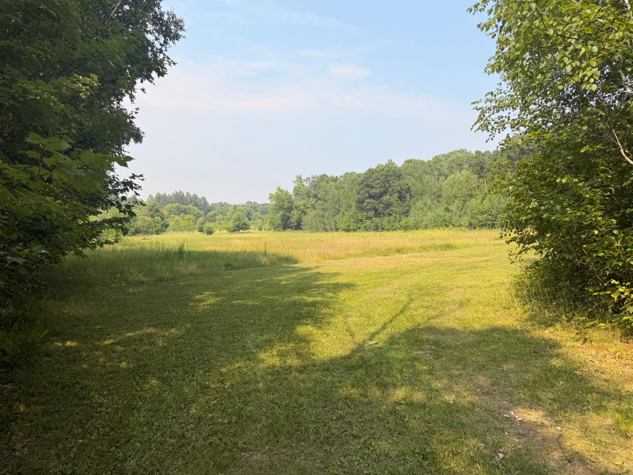 10 Acres Evenson Road, Pequot Lakes MN 56472 - Photo 2 of 4