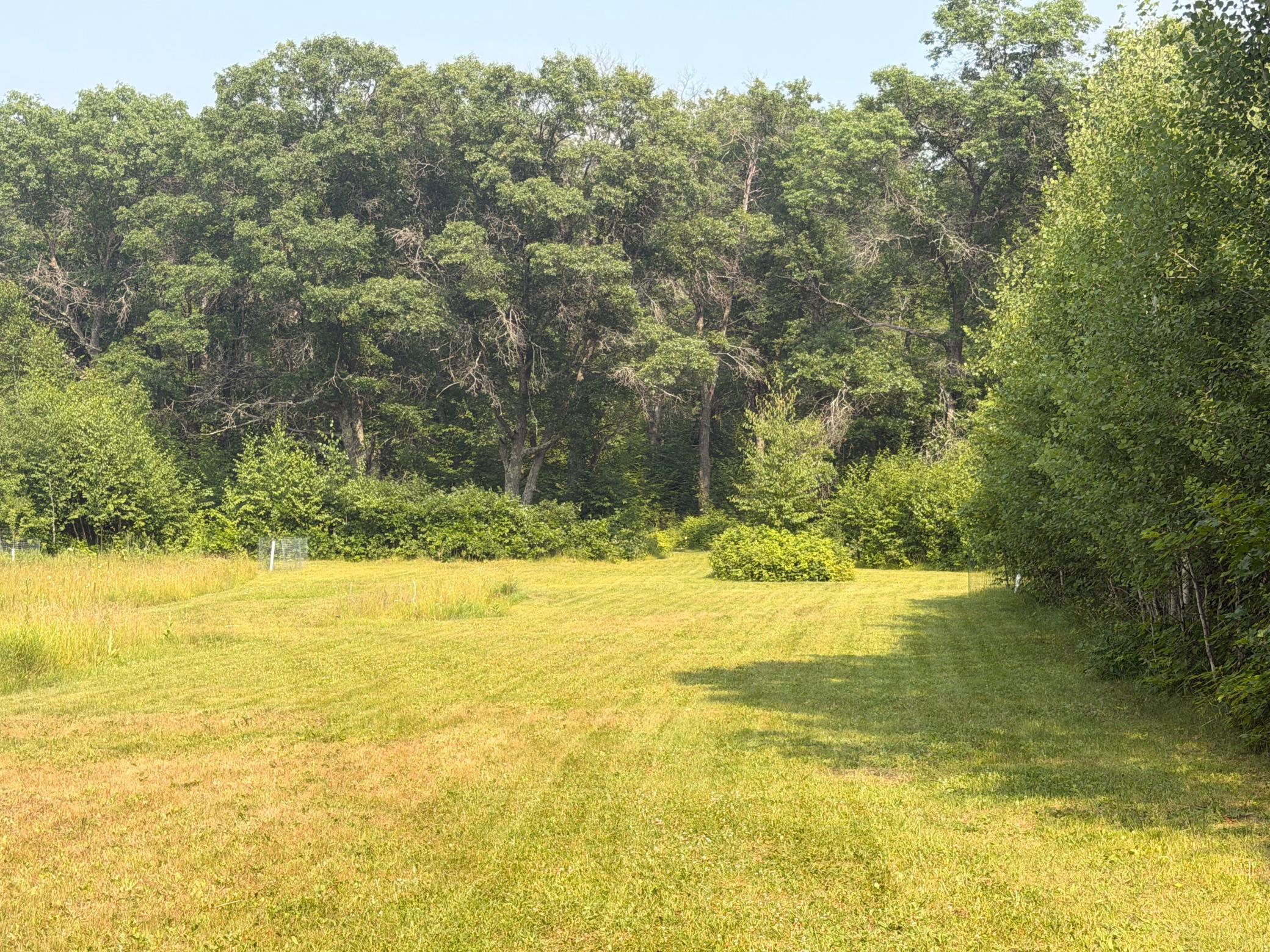 10 Acres Evenson Road, Pequot Lakes MN 56472 - Photo 3 of 4