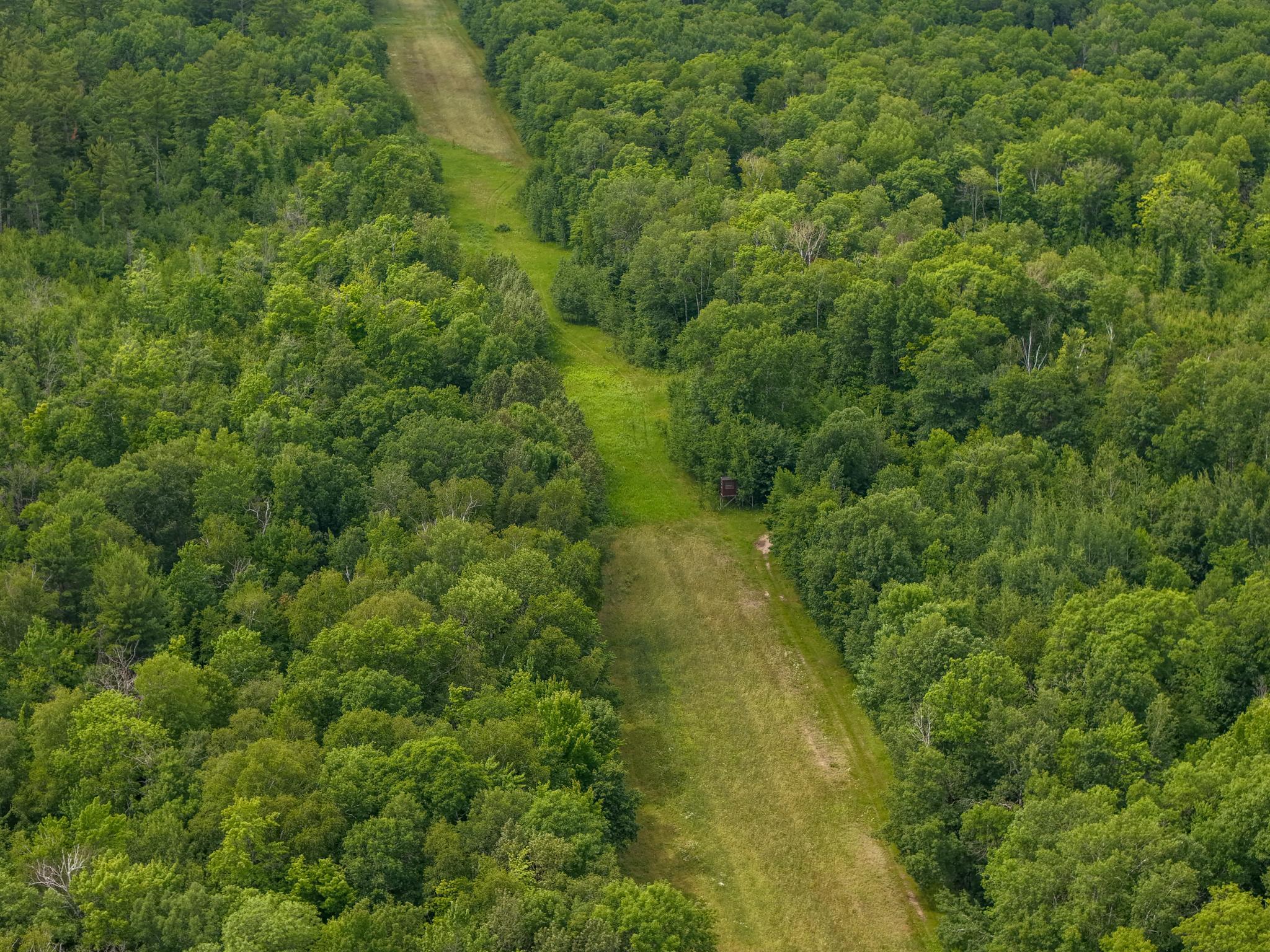 80 Acres Pike Bay Loop Road NW, Cass Lake MN 56633 - Photo 11 of 27