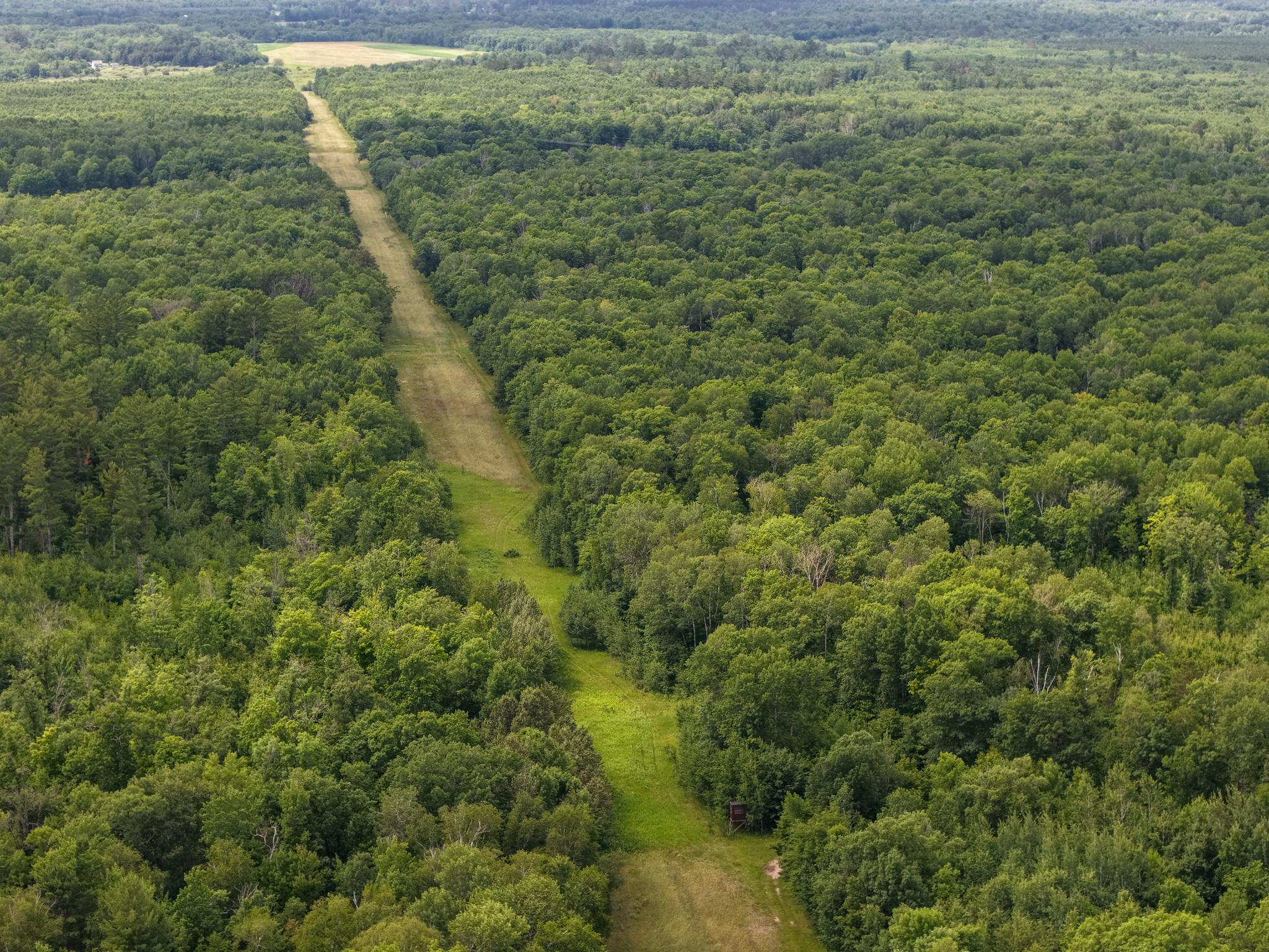 80 Acres Pike Bay Loop Road NW, Cass Lake MN 56633 - Photo 12 of 27