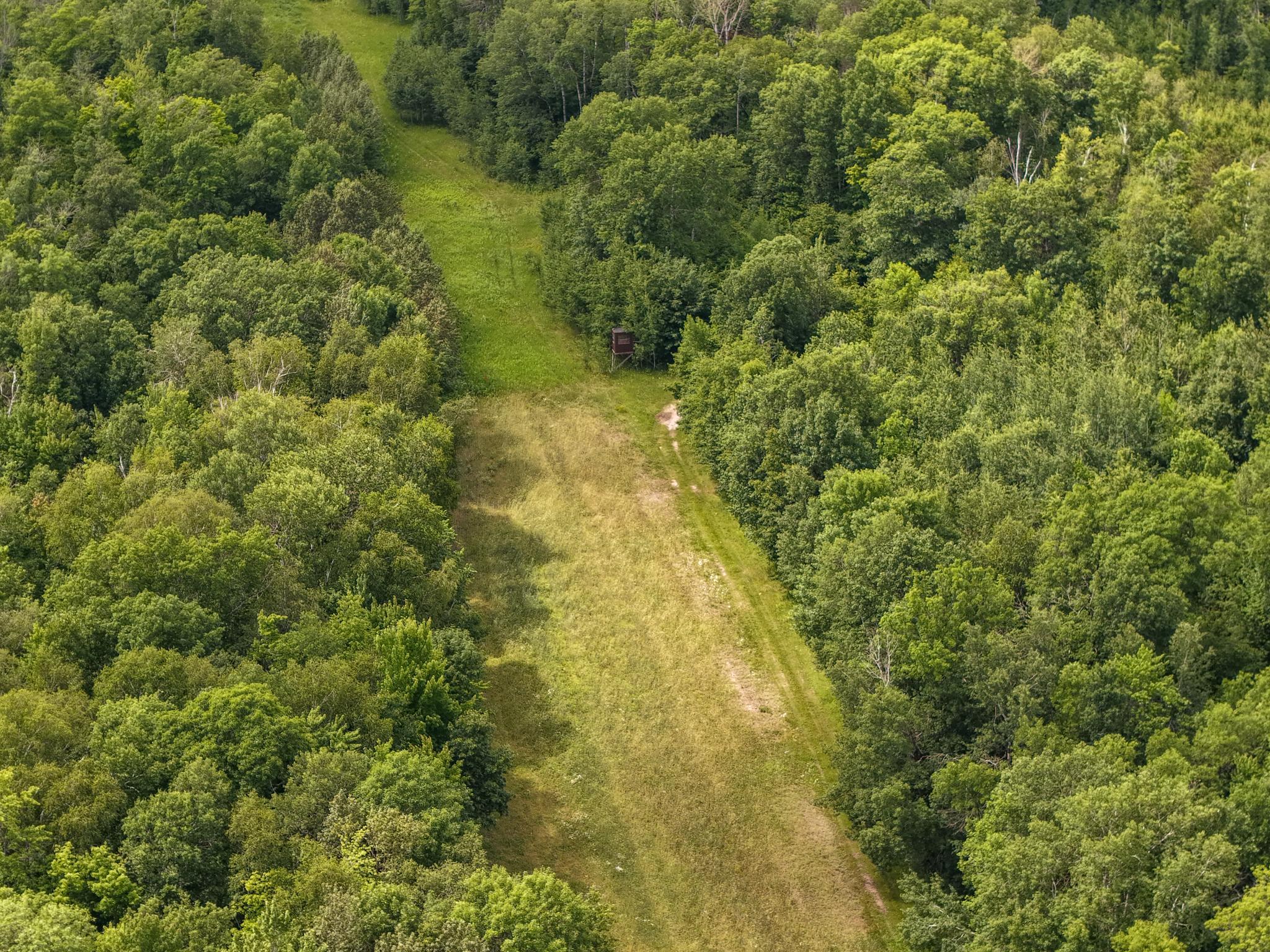 80 Acres Pike Bay Loop Road NW, Cass Lake MN 56633 - Photo 13 of 27