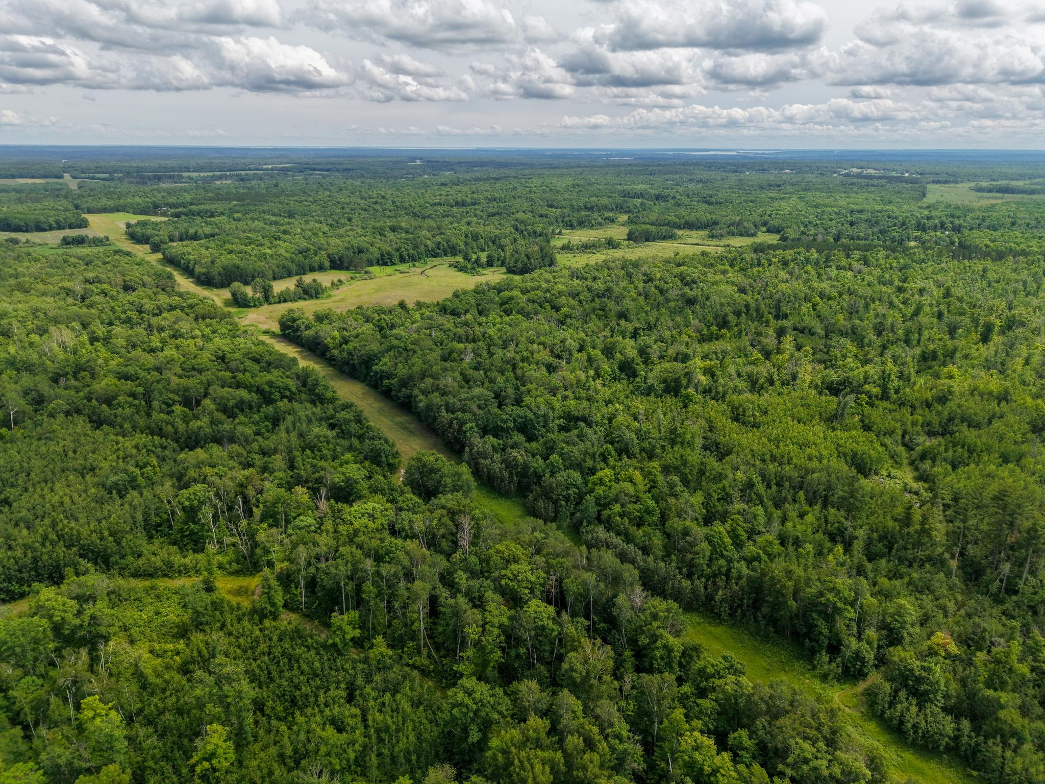 80 Acres Pike Bay Loop Road NW, Cass Lake MN 56633 - Photo 15 of 27