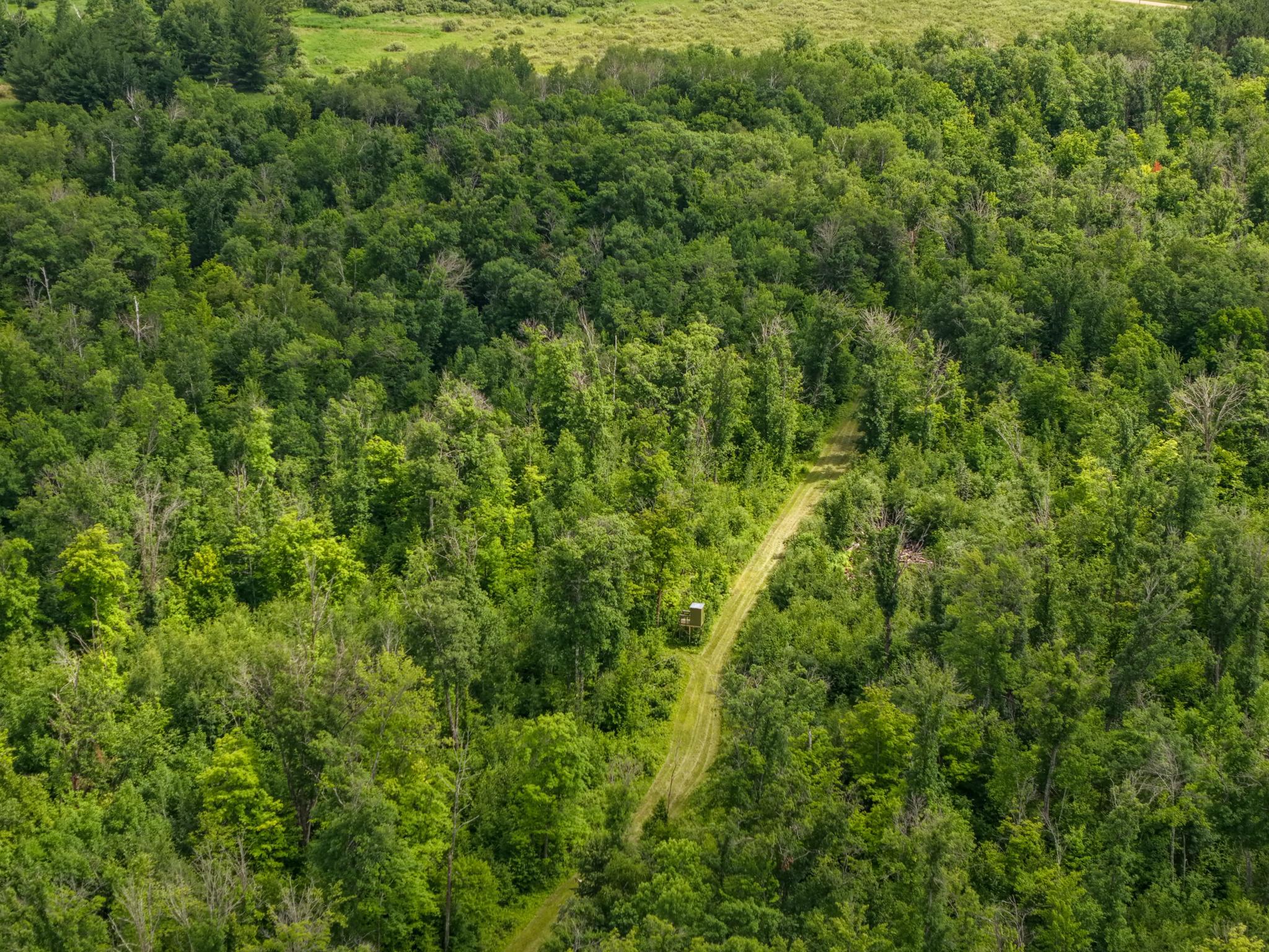 80 Acres Pike Bay Loop Road NW, Cass Lake MN 56633 - Photo 18 of 27