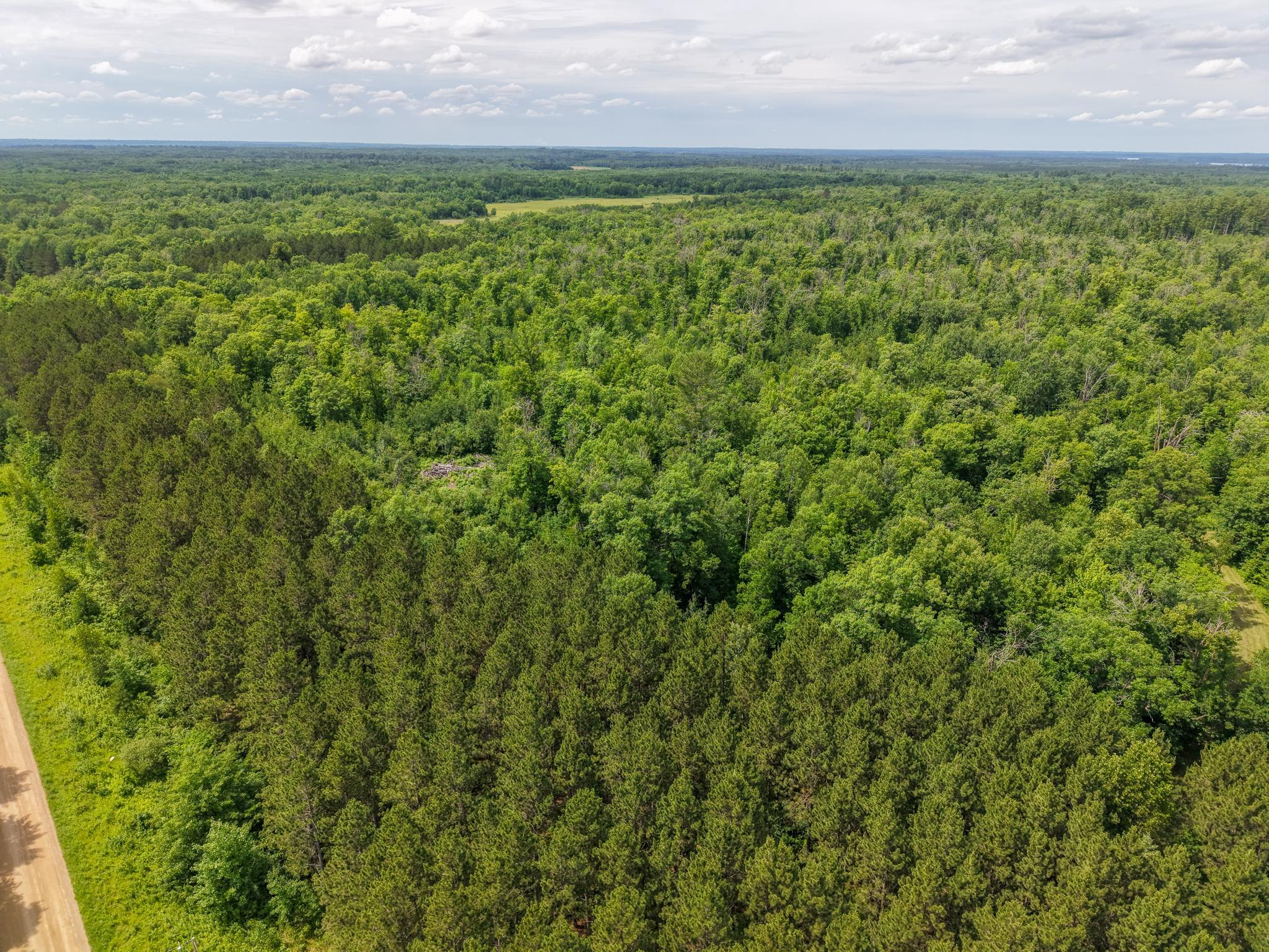 80 Acres Pike Bay Loop Road NW, Cass Lake MN 56633 - Photo 3 of 27