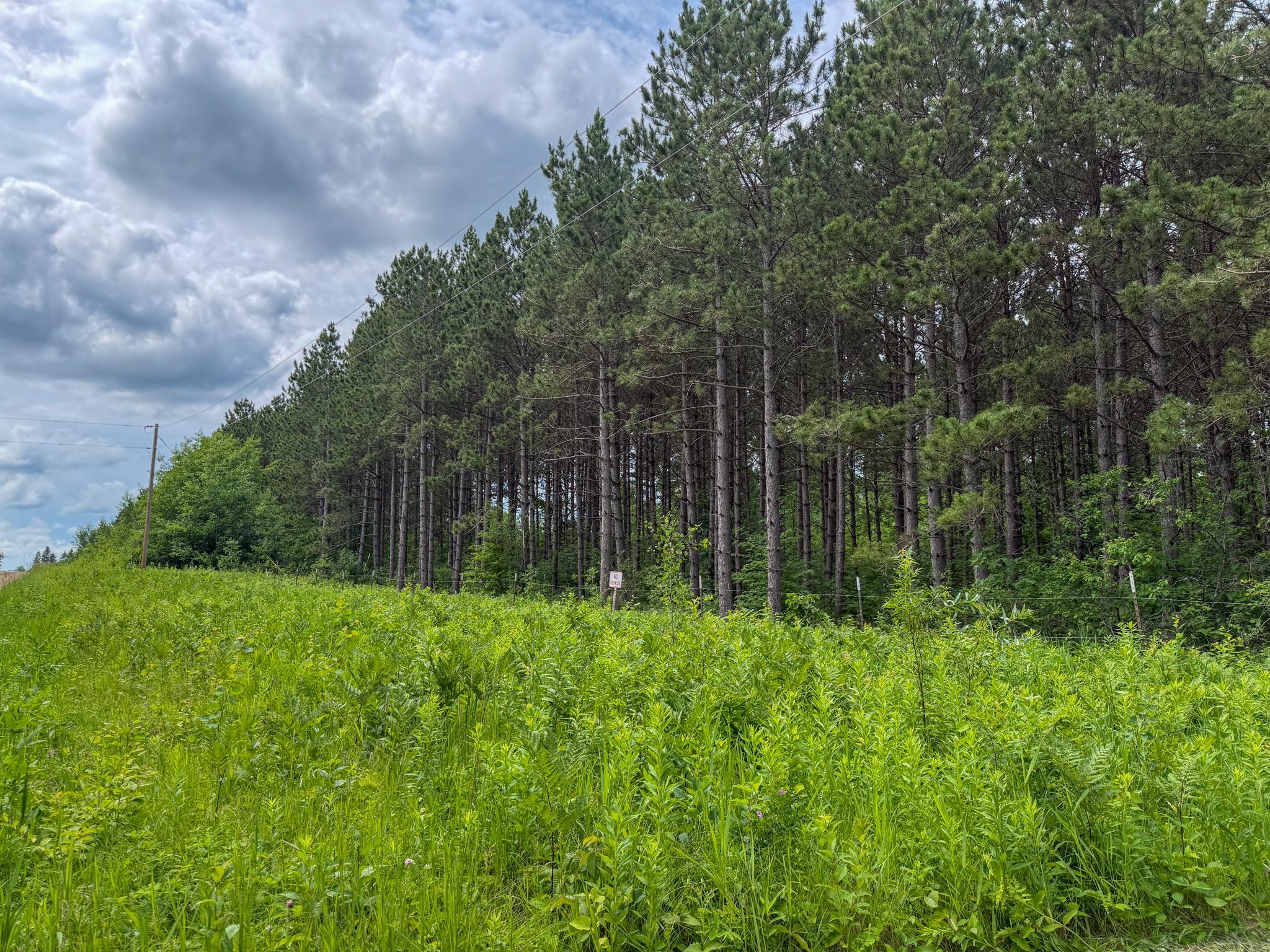 80 Acres Pike Bay Loop Road NW, Cass Lake MN 56633 - Photo 22 of 27