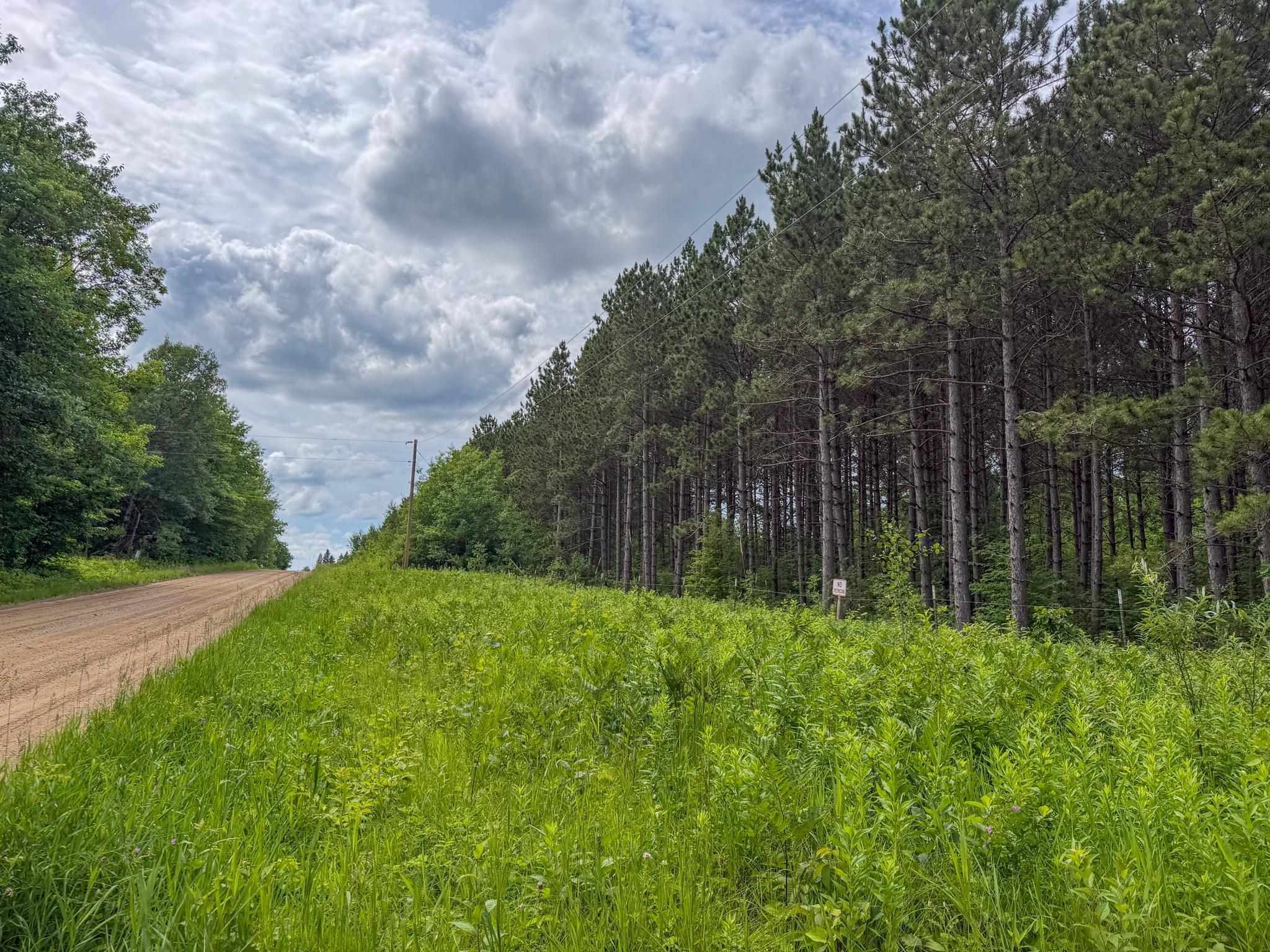 80 Acres Pike Bay Loop Road NW, Cass Lake MN 56633 - Photo 23 of 27