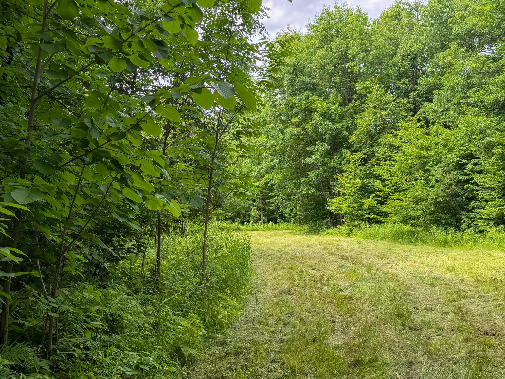 80 Acres Pike Bay Loop Road NW, Cass Lake MN 56633 - Photo 24 of 27