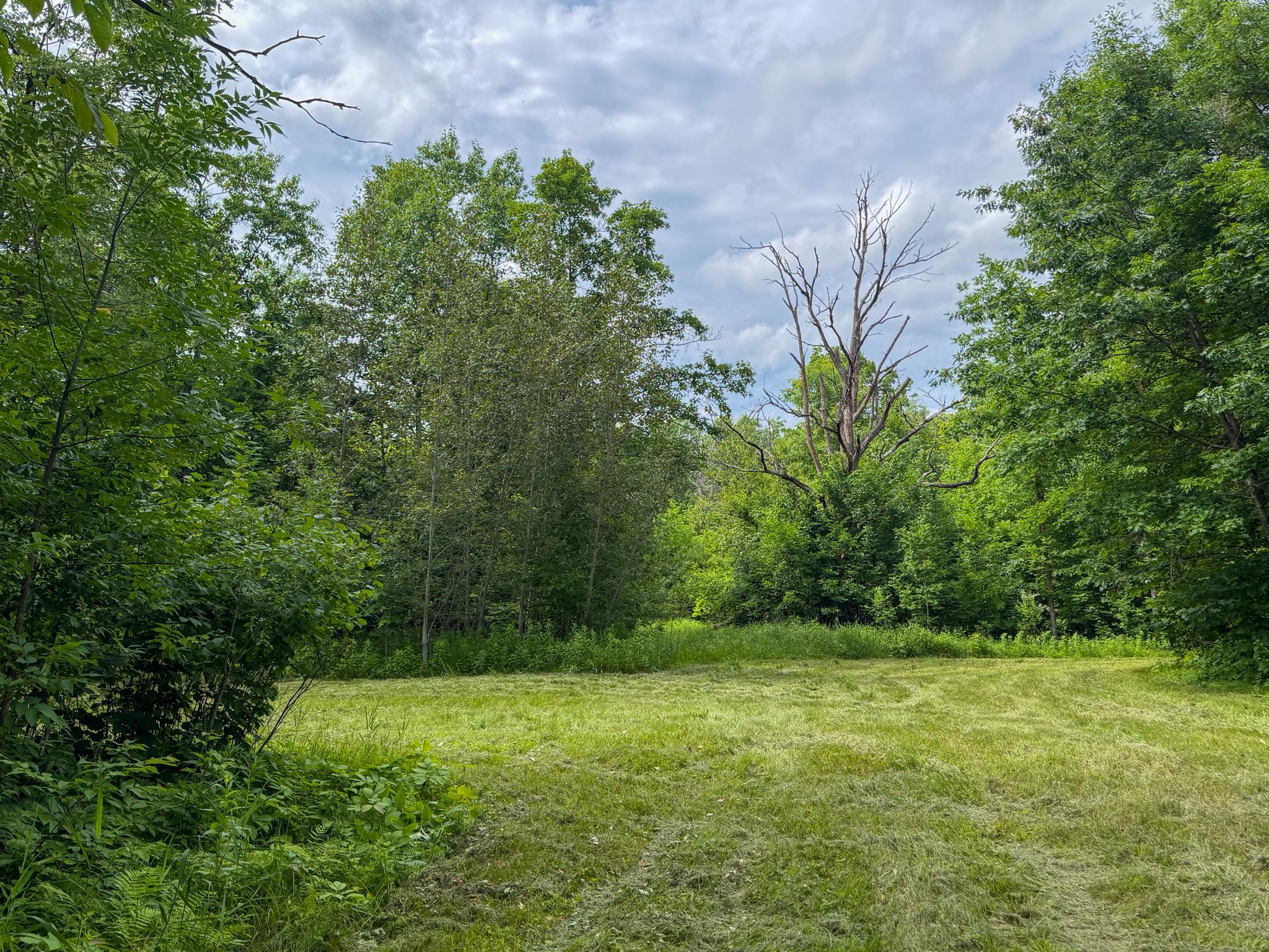 80 Acres Pike Bay Loop Road NW, Cass Lake MN 56633 - Photo 25 of 27