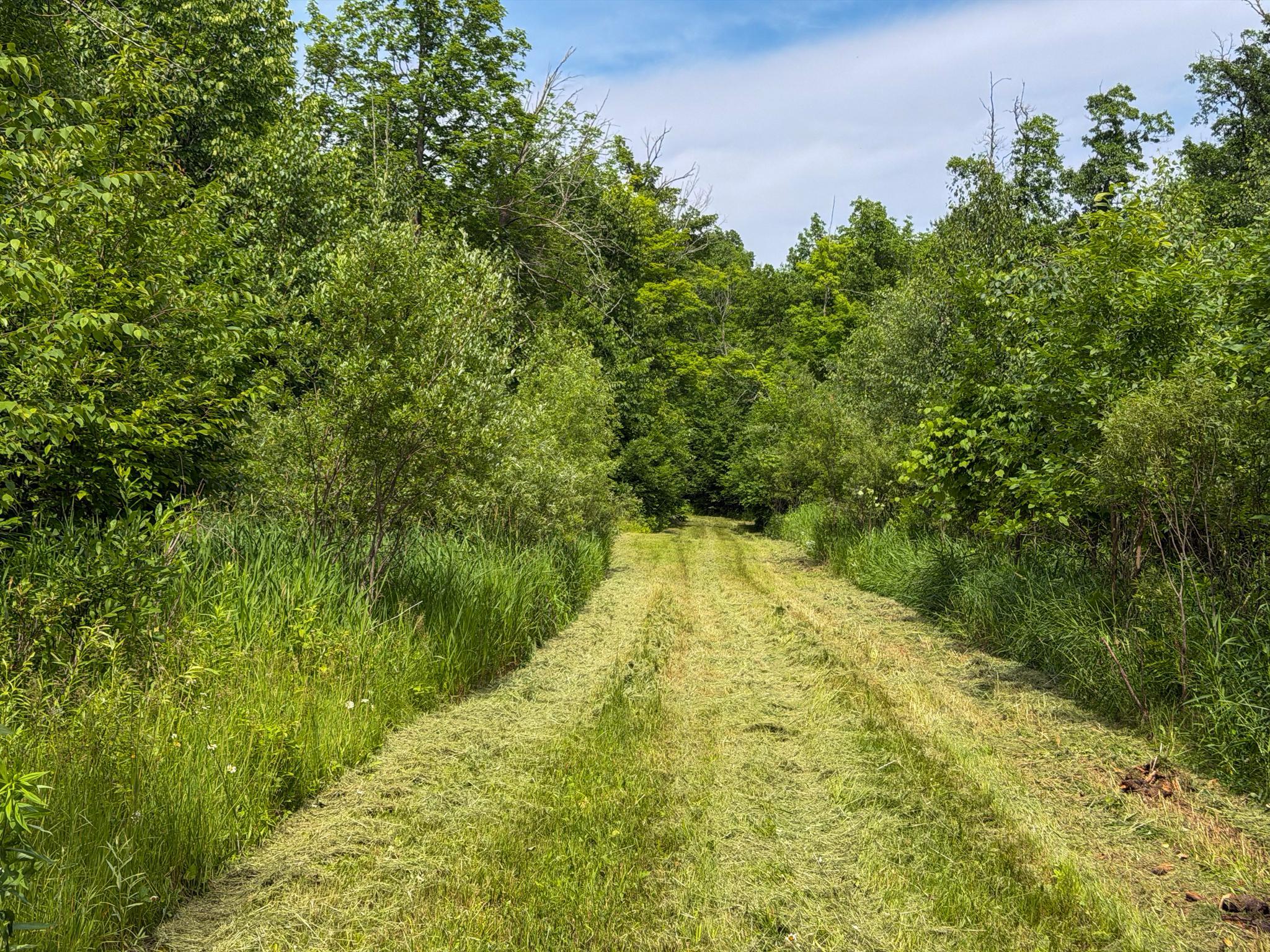 80 Acres Pike Bay Loop Road NW, Cass Lake MN 56633 - Photo 26 of 27