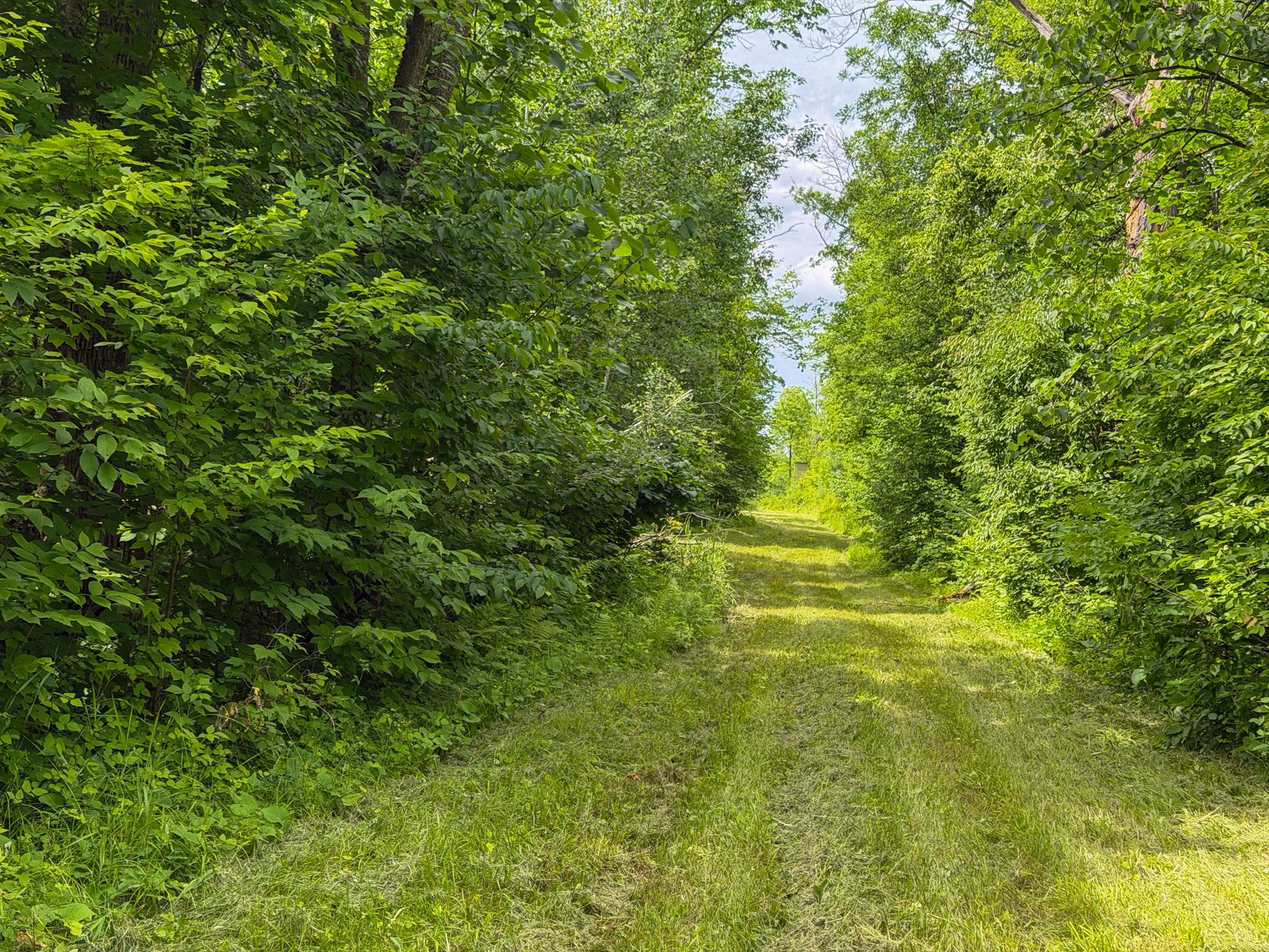 80 Acres Pike Bay Loop Road NW, Cass Lake MN 56633 - Photo 27 of 27