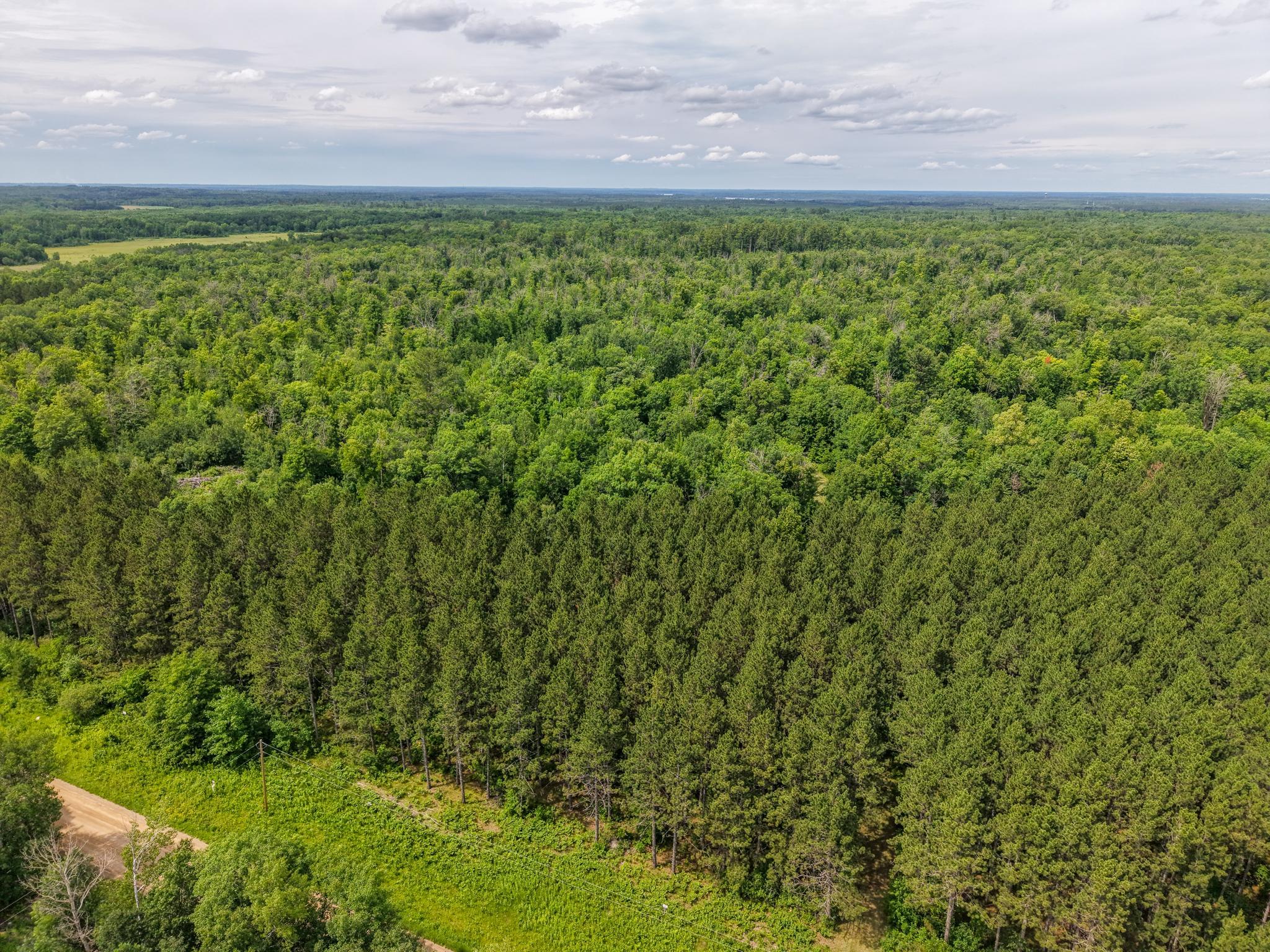 80 Acres Pike Bay Loop Road NW, Cass Lake MN 56633 - Photo 4 of 27