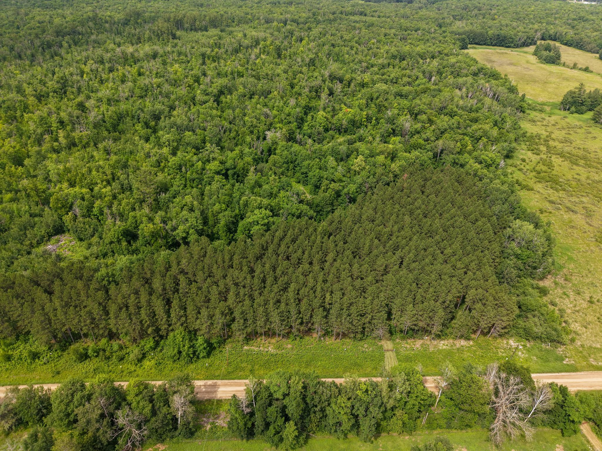 80 Acres Pike Bay Loop Road NW, Cass Lake MN 56633 - Photo 5 of 27