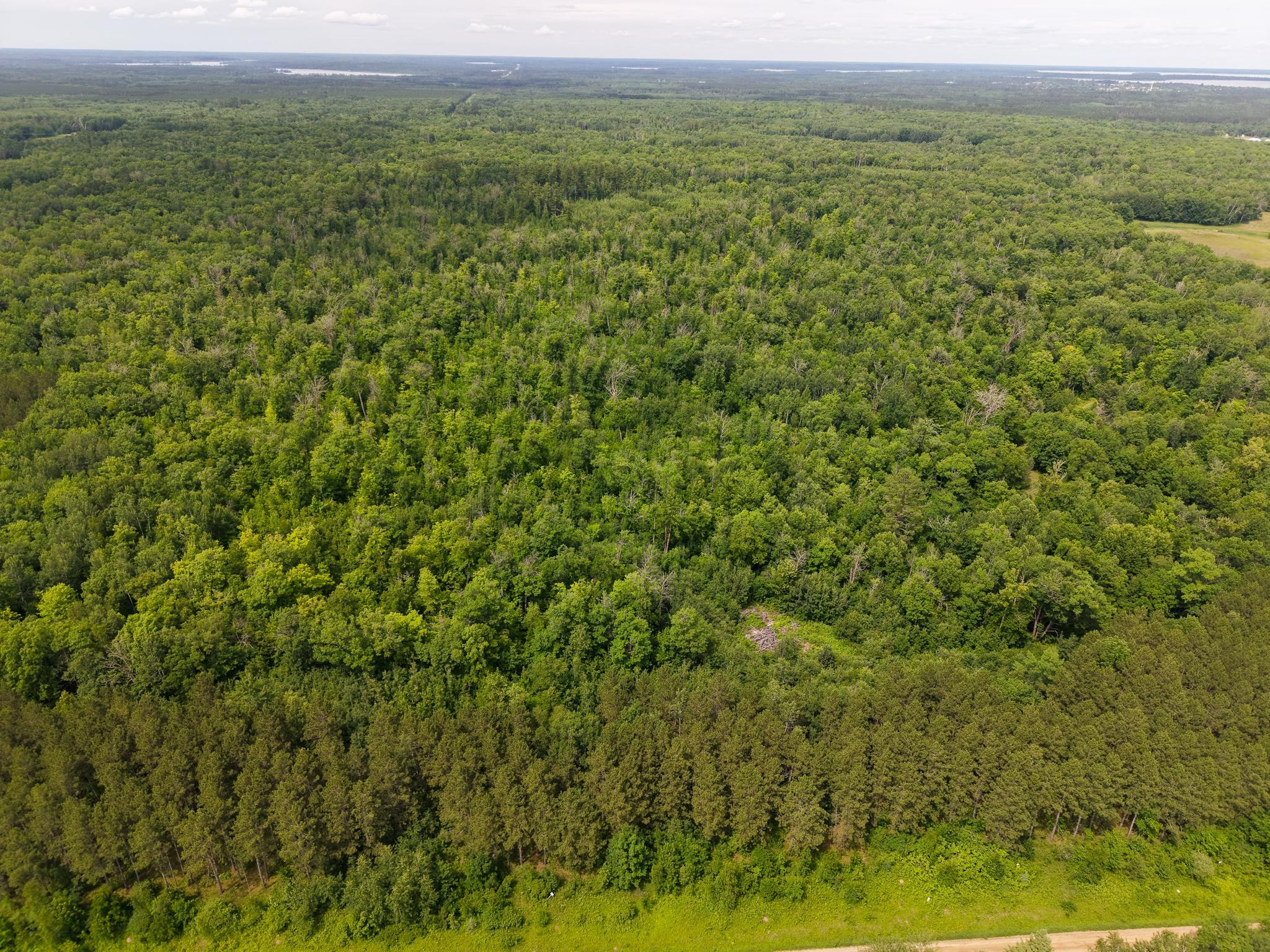 80 Acres Pike Bay Loop Road NW, Cass Lake MN 56633 - Photo 6 of 27
