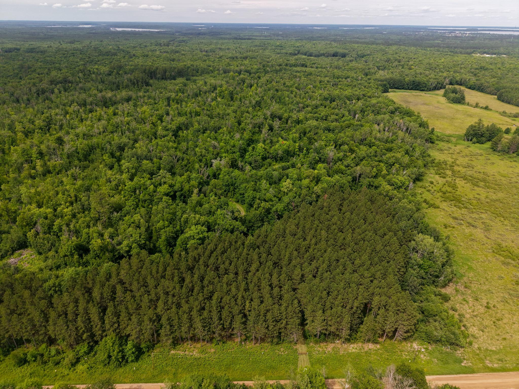 80 Acres Pike Bay Loop Road NW, Cass Lake MN 56633 - Photo 7 of 27