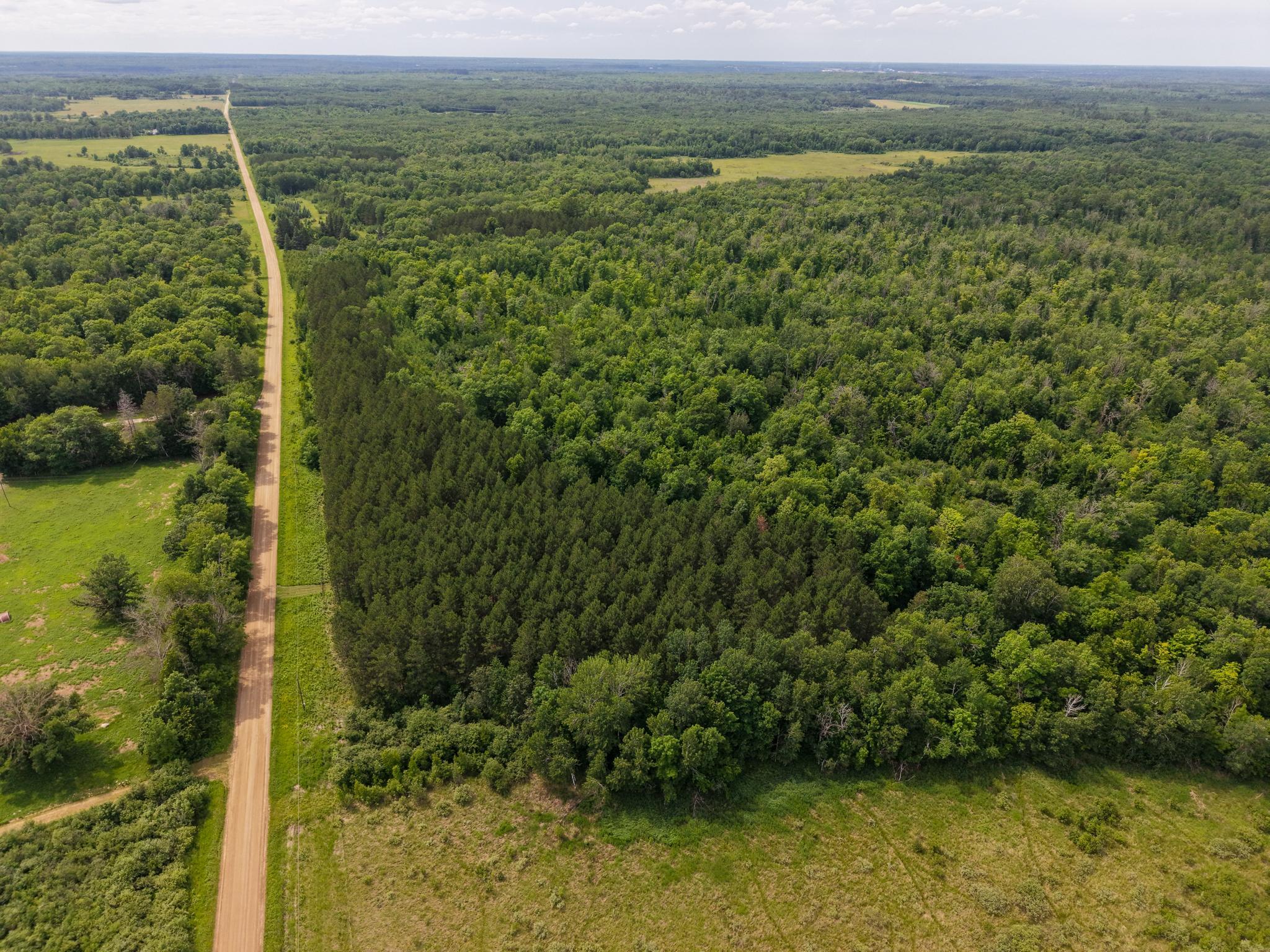 80 Acres Pike Bay Loop Road NW, Cass Lake MN 56633 - Photo 8 of 27