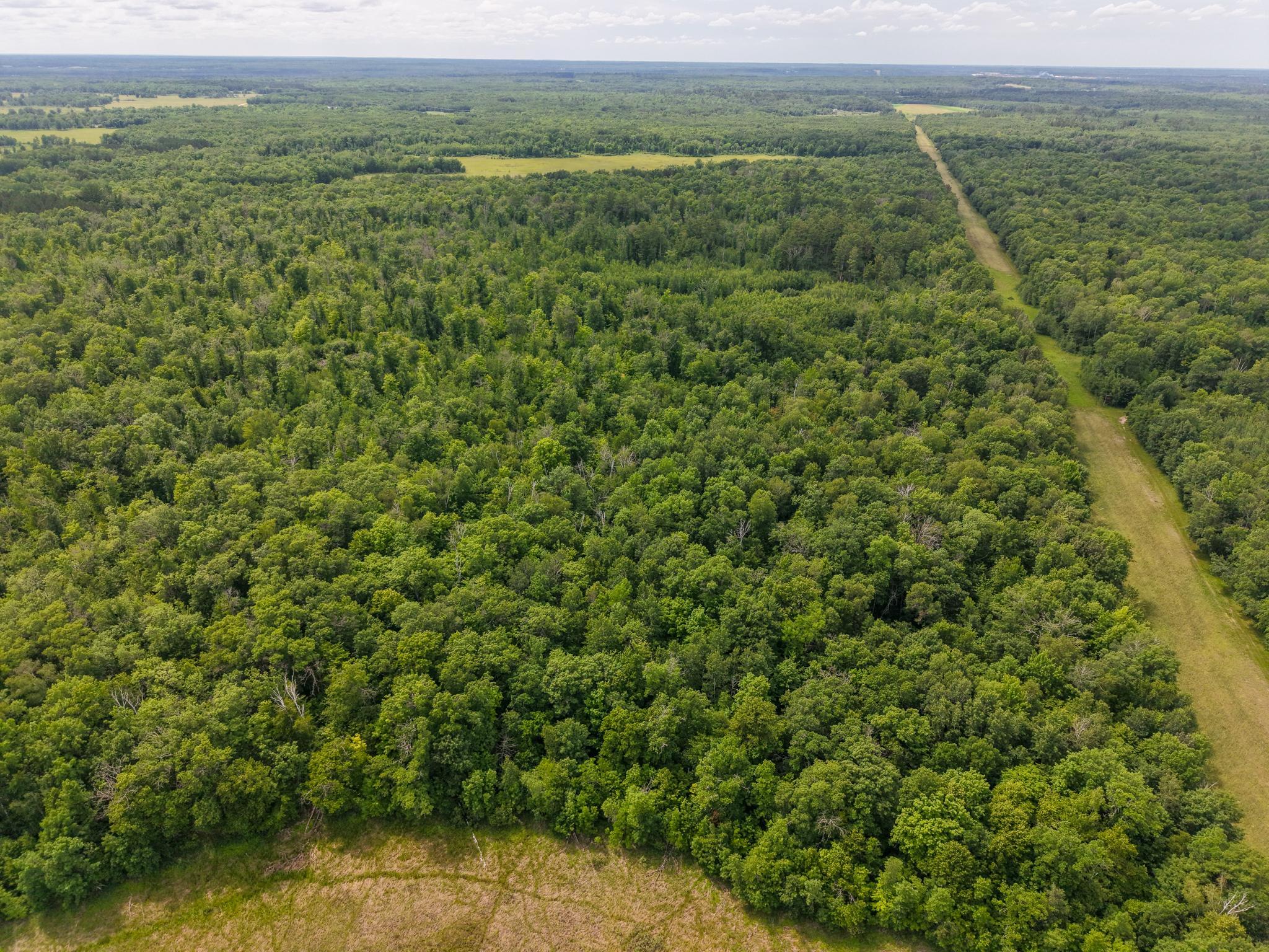 80 Acres Pike Bay Loop Road NW, Cass Lake MN 56633 - Photo 9 of 27