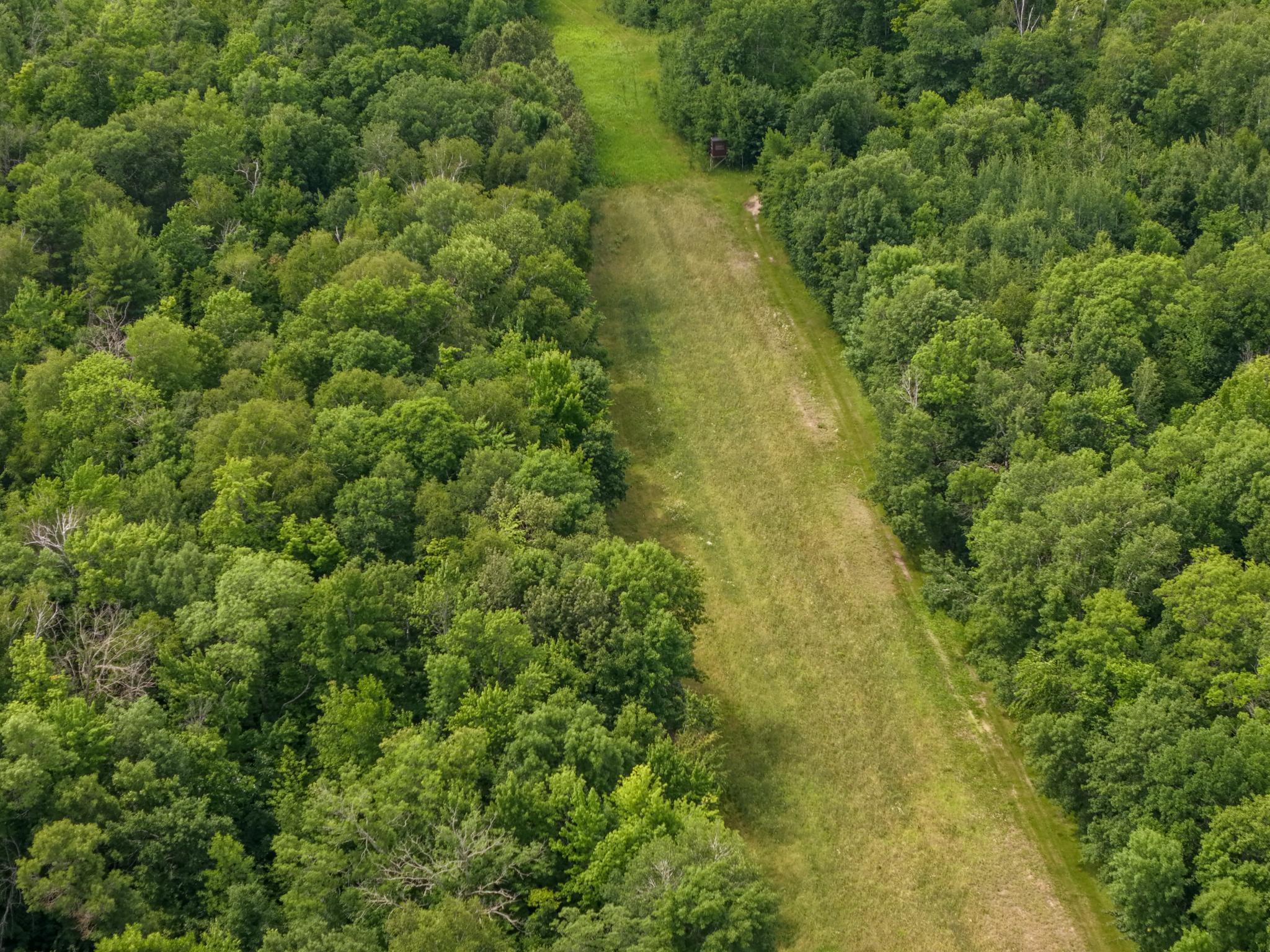 80 Acres Pike Bay Loop Road NW, Cass Lake MN 56633 - Photo 10 of 27
