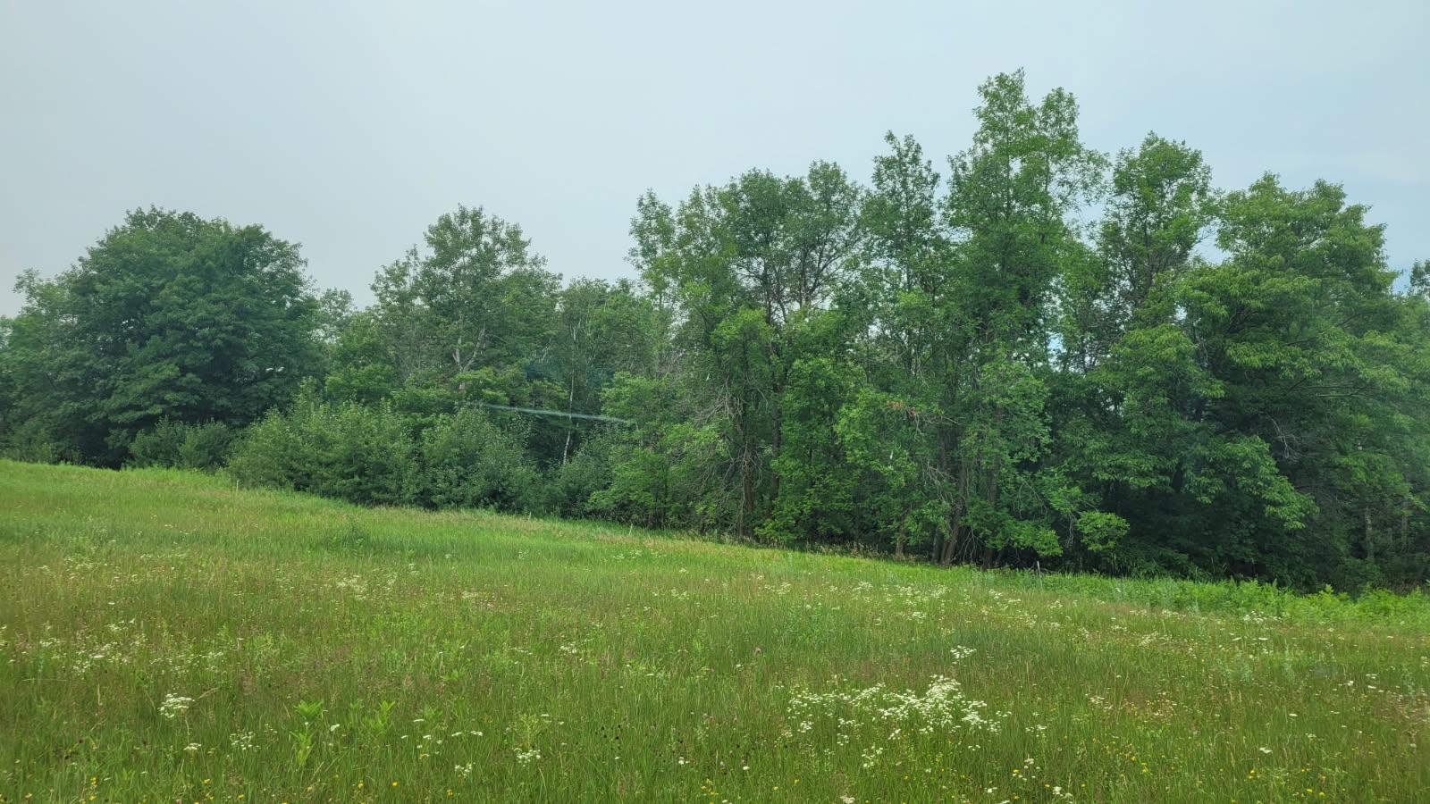 1560 8th Street NE, Pine River MN 56474 - Photo 2 of 3