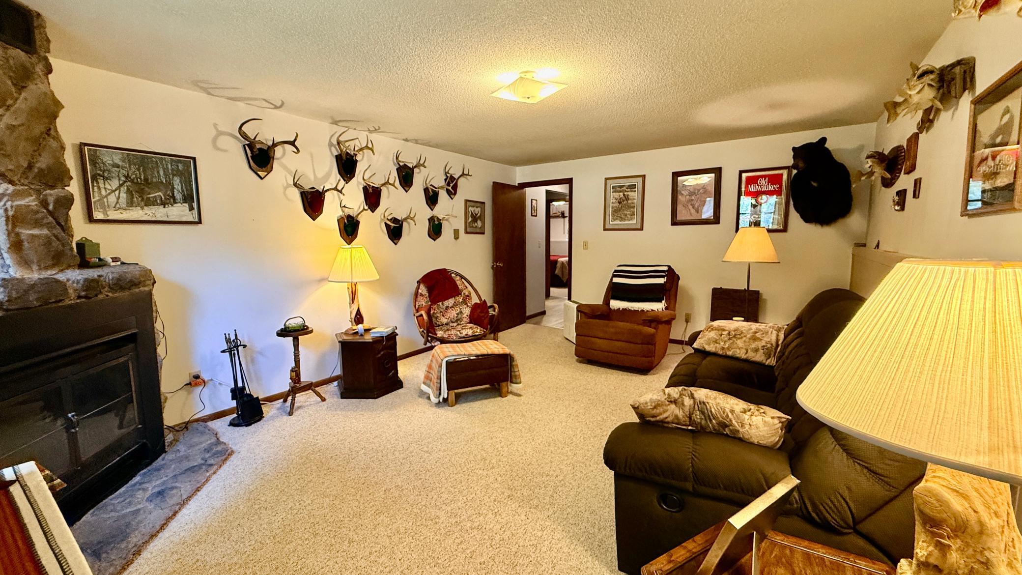 16038 Discovery Circle, Park Rapids MN 56470 - Photo 10 of 18