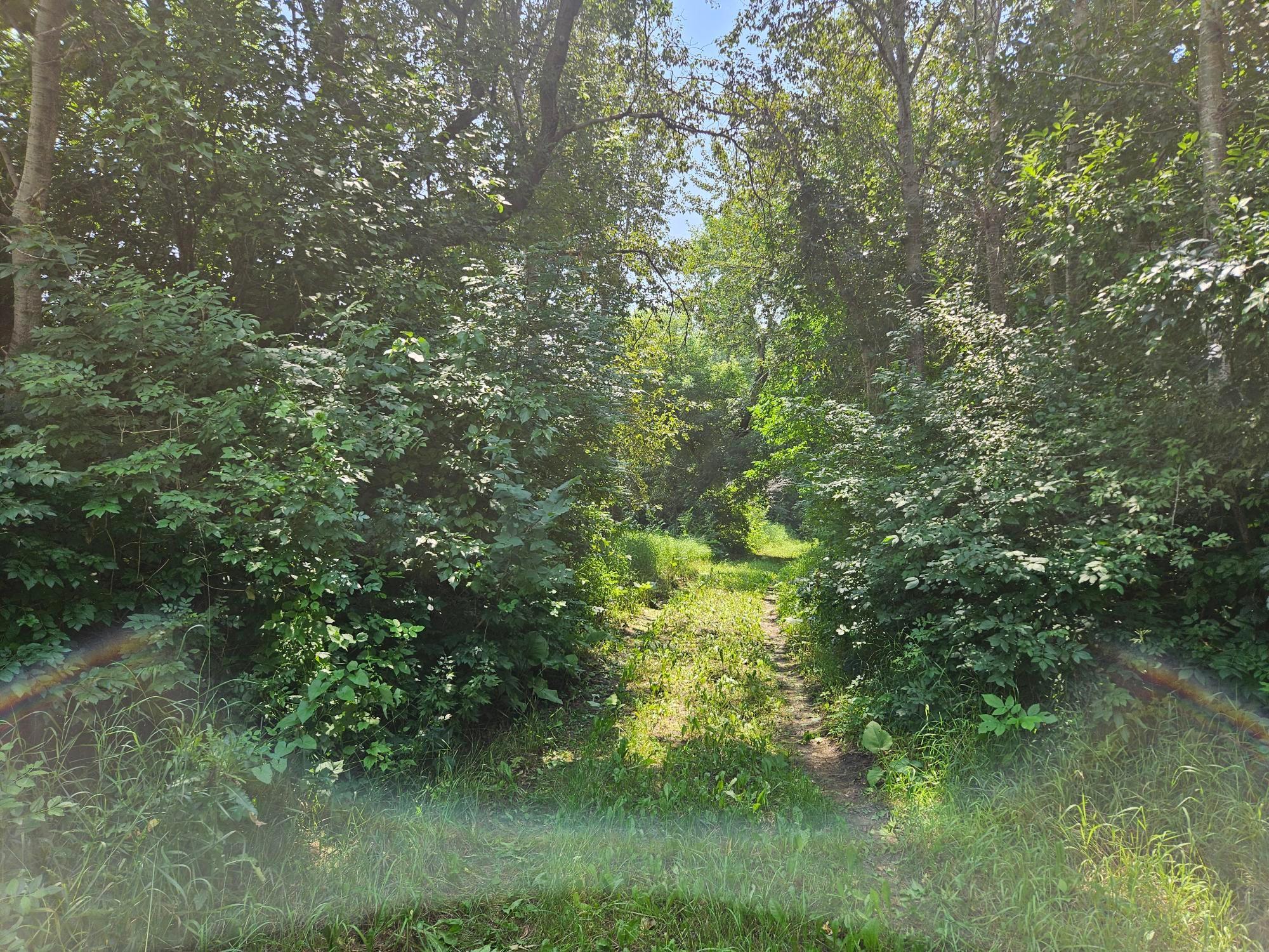 11752 220th Street SE, Red Lake Falls MN 56750 - Photo 2 of 6