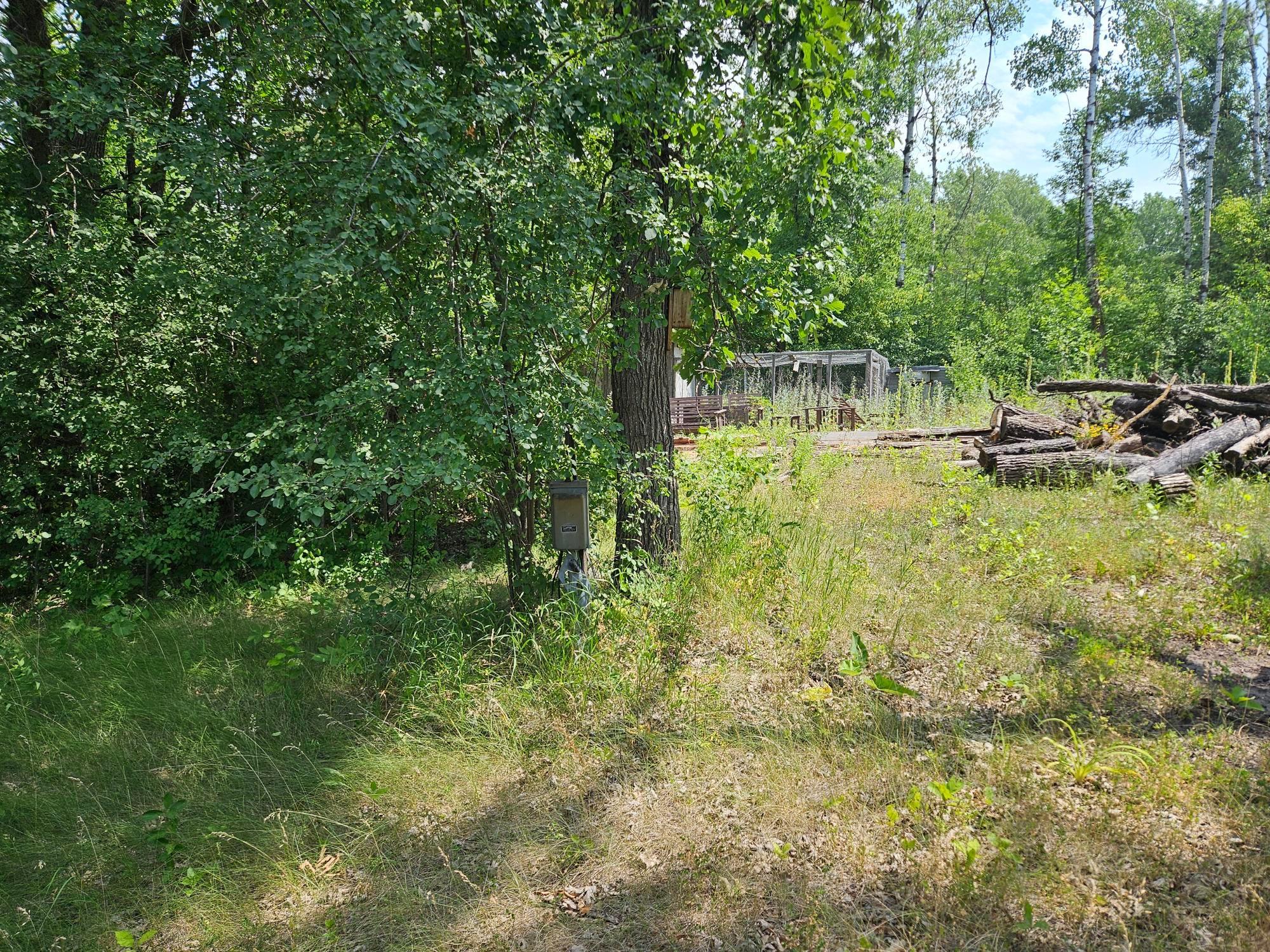 11752 220th Street SE, Red Lake Falls MN 56750 - Photo 4 of 6