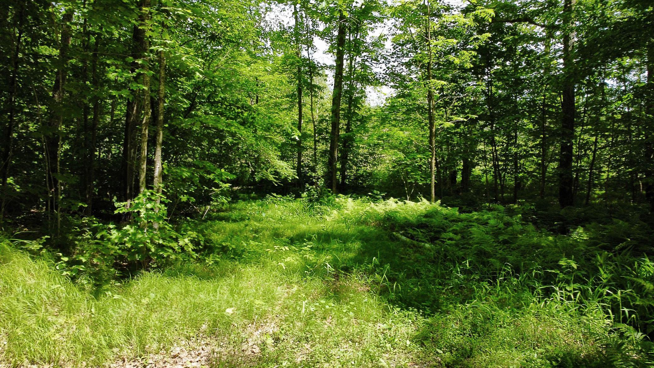 35004 322nd Lane, Aitkin MN 56431 - Photo 16 of 36