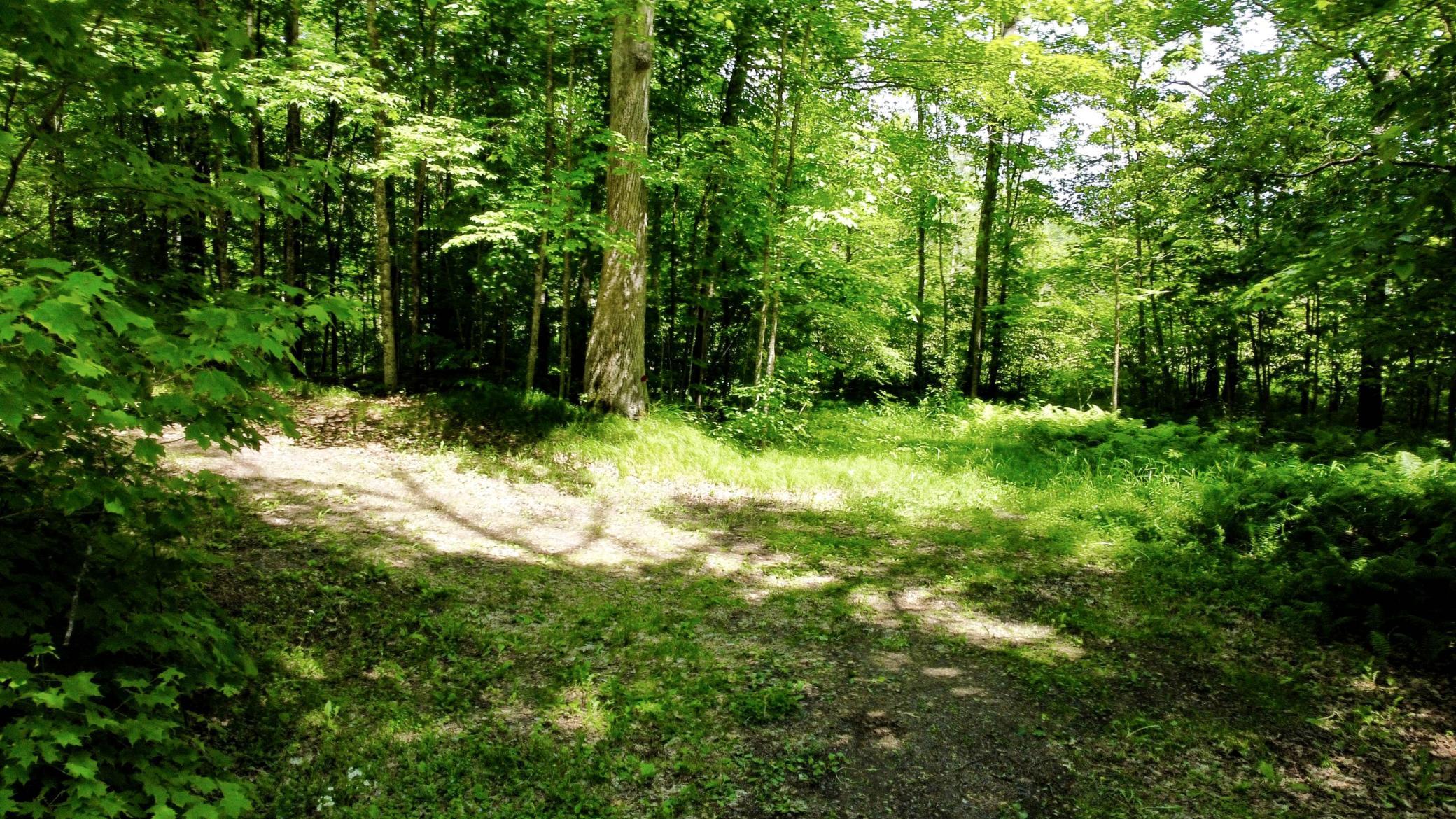 35004 322nd Lane, Aitkin MN 56431 - Photo 17 of 36