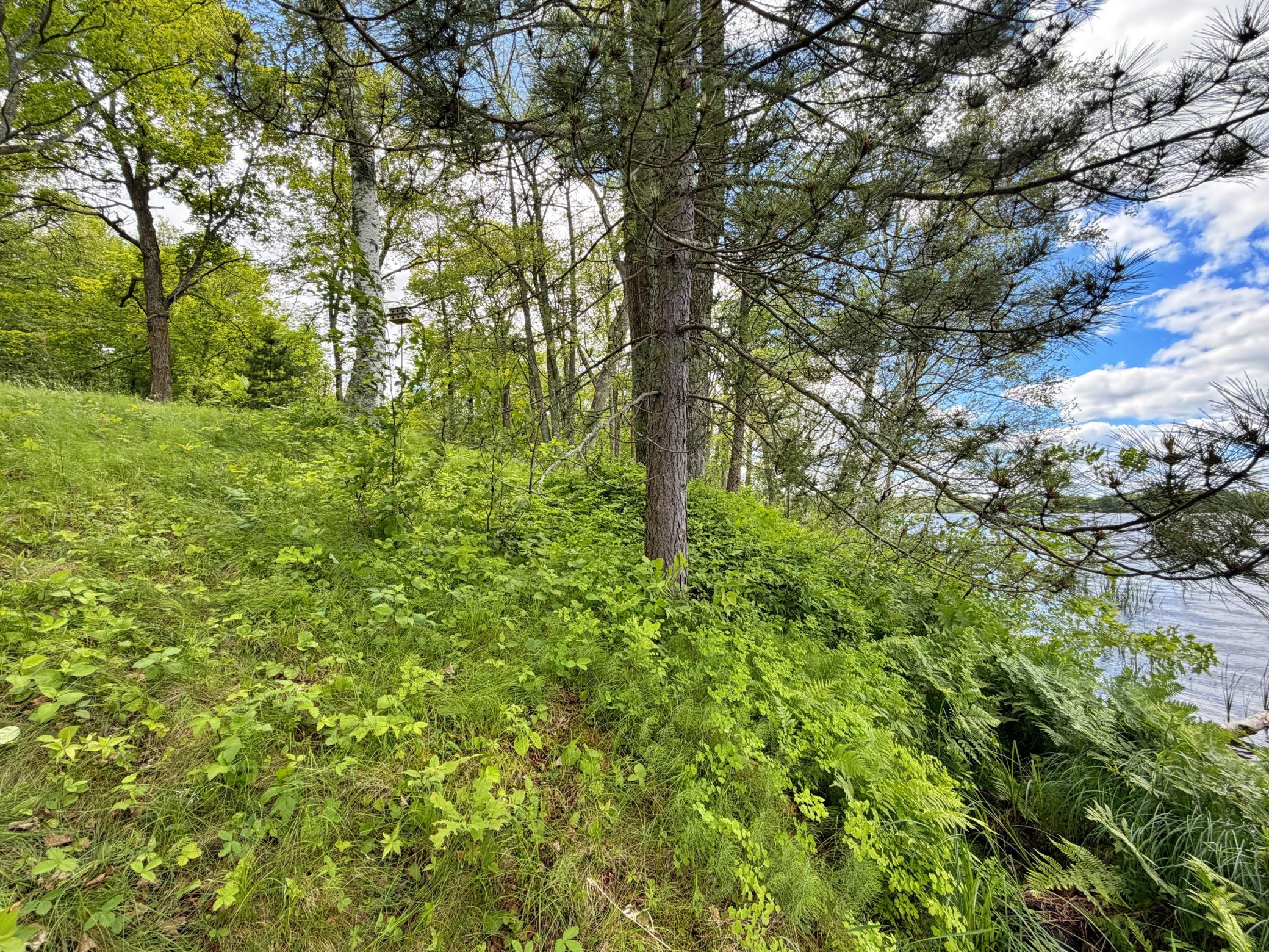 35004 322nd Lane, Aitkin MN 56431 - Photo 30 of 36