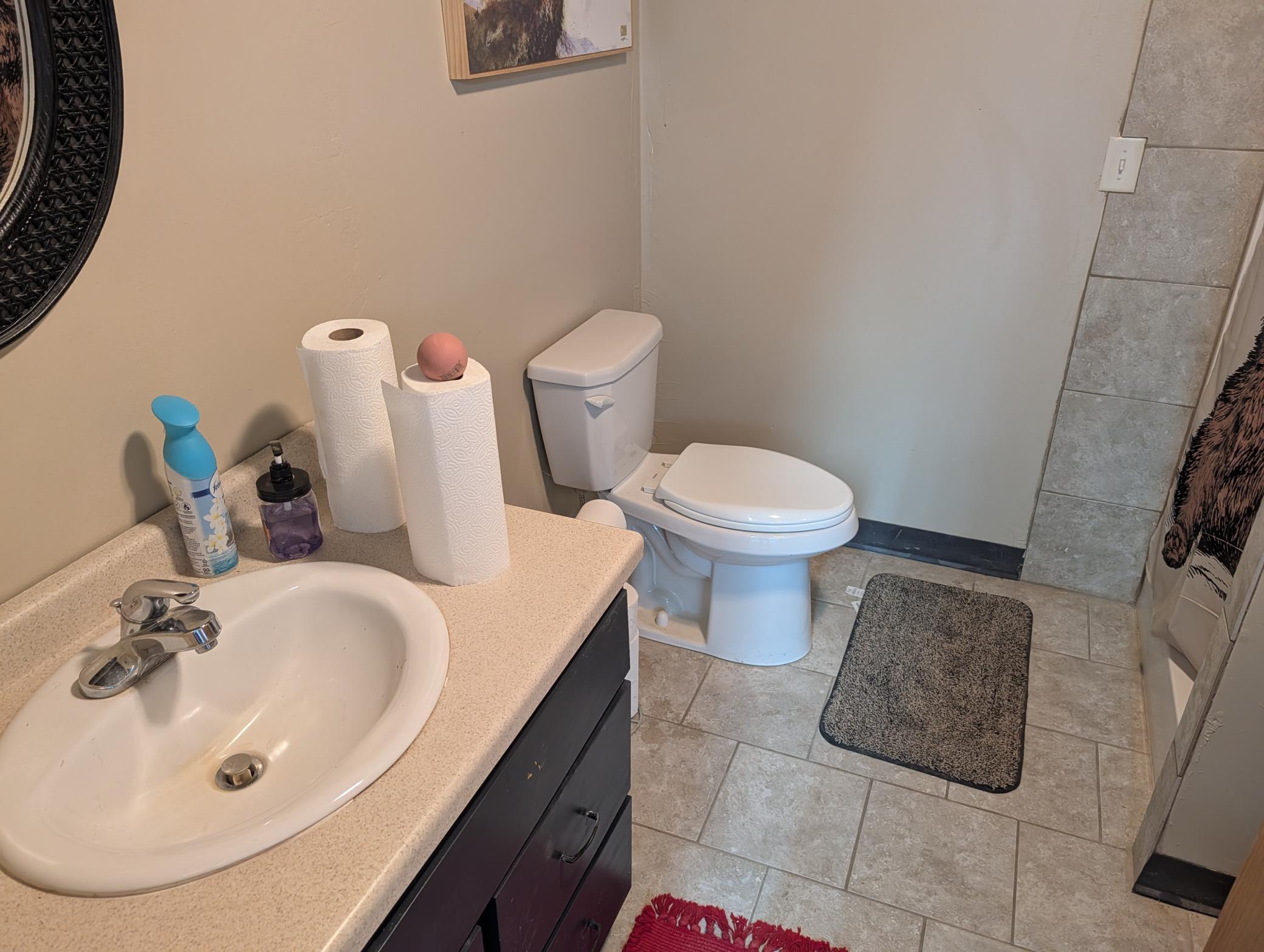 36835 478th Avenue, New York Mills MN 56567 - Photo 9 of 25