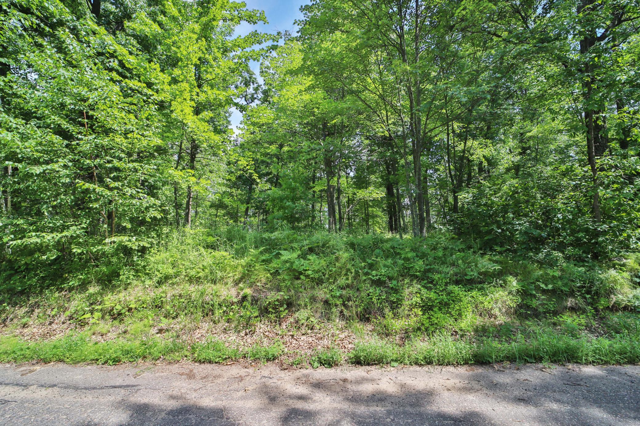 land for sale at TBD W Lake Ridge Drive SW in Pillager, MN (photo 3 of 19)