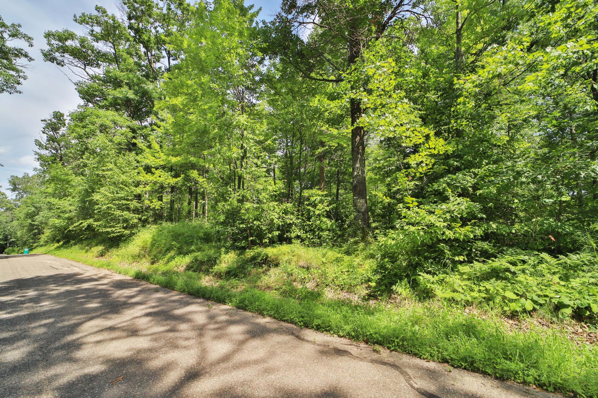 land for sale at TBD W Lake Ridge Drive SW in Pillager, MN (photo 4 of 19)