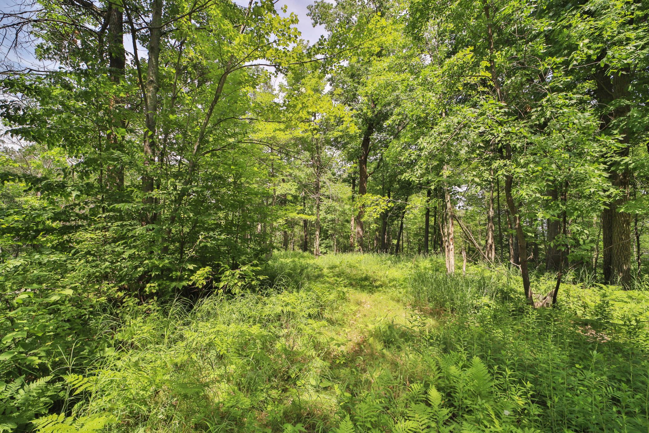 land for sale at TBD W Lake Ridge Drive SW in Pillager, MN (photo 5 of 19)